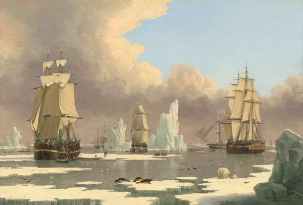 Three tall sailing ships, each with three masts and full sails, float in calm, arctic waters, surrounded by fragments of icebergs and ice floes amid a smattering of arctic animals in this horizontal landscape painting. The horizon line comes about a quarter of the way up the composition so the sails and rigging of the ships are shown against the sky. The clouds have ivory tops and lavender-purple undersides, and they curve in a C-shaped bank to cover most of the left half of the painting and to span the horizon. The three ships closest to us are spaced evenly across the composition, with the left-most the closest, and therefore the largest. The ship to our right is set a bit farther back, and the center ship is the farthest away. A rowboat holding several men has pulled alongside the boat to our left, and more men haul massive slabs of whale blubber up the side of the ship. Others walk on an ice floe nearby. Close inspection reveals more rowboats around and beyond these ships, and several more ships fading into the hazy distance along the horizon. Jagged edged chunks of icebergs as tall as the ships float around them. Closer to us, a trio of seals sits on an ice floe near the lower center of the composition, and a polar bear stands nose to nose with a cub to our right. Two narwhal whales with long tusks break the surface of the water between us and the ships, as does a whale’s tail near the boat to our right. Two walruses with long tusks sit on a floe near the center ship. A couple dozen birds, many white with black wing tips, fly low over the surface of the water across the painting.