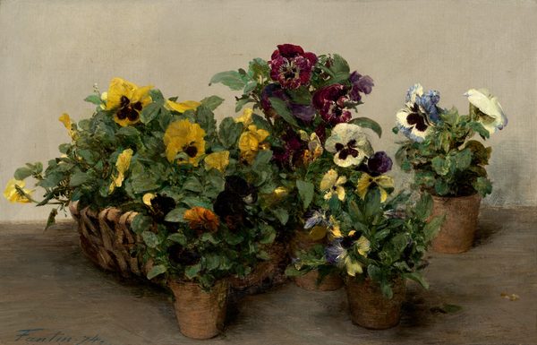 This painting shows a group of potted pansies. There is a large basket filled with yellow pansies on the left, surrounded by at least four smaller terracotta pots on the right containing purple, white, blue, and orange pansies. The flowers have black markings near the centers of their petals and are surrounded by wide green leaves. The basket and pots are placed on a flat gray surface in front of a lighter gray wall.