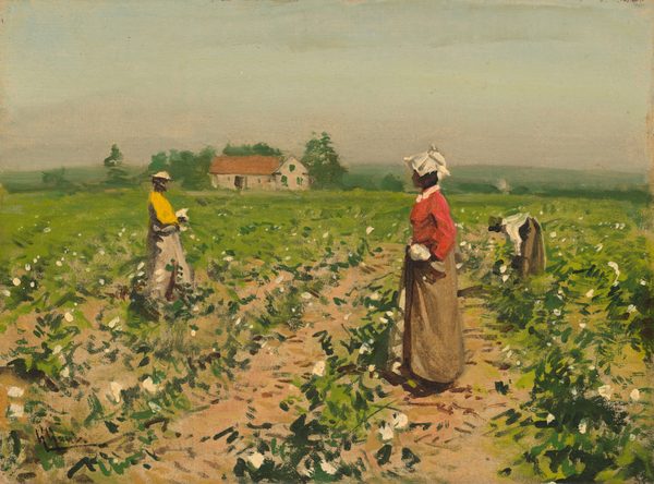 This painting depicts a green field of cotton plants with white blossoms. Three individuals are seen harvesting the cotton. They appear to be wearing skirts and bonnets and have dark skin, although their faces aren’t detailed. The background includes buildings on the left and green trees against a pale blue sky with hints of grey. The painting utilizes loose, visible brushstrokes. The color scheme is warm and natural, featuring shades of green, brown, and muted tones.