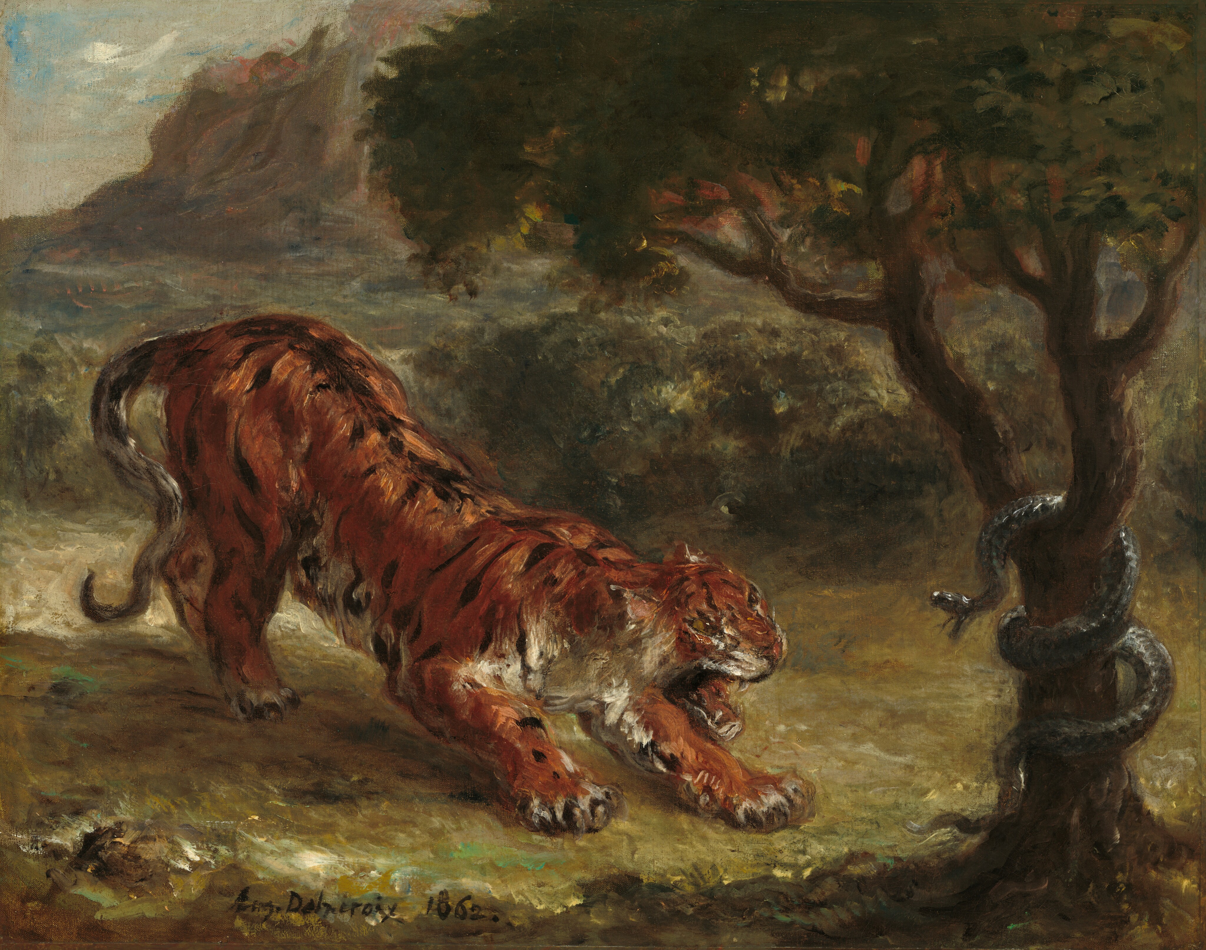 A crouching tiger to our left bares its fangs at a hissing snake wound around a tree to our right in this nearly square painting. Yellow eyes gleaming, the tiger stretches its front paws forward with ears pinned back, teeth bared, rump in the air, and its tail curling down near its back legs. The white fur of the tiger’s underbelly near the front legs glows in the sunlight. Light glints off the skin of the snake, which coils around the tree twice and flicks its forked tongue between gaping jaws. The grassy area around the tiger is painted in shades of gold, green, and mustard yellow. Behind the tiger, a sage-green plain stretches back on our left to rocky hills in the distance, with hints of blue sky and clouds beyond. The tree frames the scene on our right, its gnarled, split trunk extending off the top edge of the canvas and its roots reaching beyond the bottom edge, where the artist signed and dated the work: “Eug. Delacroix 1862.”