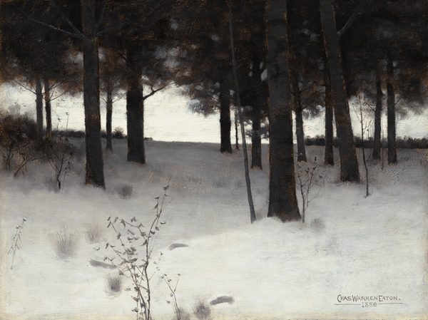 This painting shows a winter landscape with snow-covered ground and tall, dark trees with straight trunks. The color palette is almost entirely white, gray, and black, with some dark brown leaves on the trees. Small gray shrubs and grass are visible peeking through the white snow, and the dense trees cast gray shadows. The sky beyond the trees is white.
