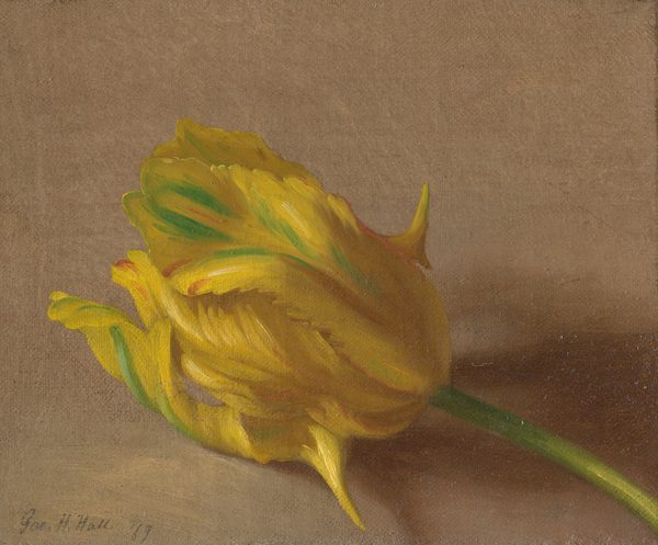 This painting shows a large yellow tulip on a brown background. The tulip's petals curve delicately, and their bright yellow color is accented by streaks of light green and small hints of red. The flower is positioned in the center of the painting, with its thin green stem extending to the bottom right corner.  The flower casts a soft shadow on the brown background, suggesting light coming in from the left.
