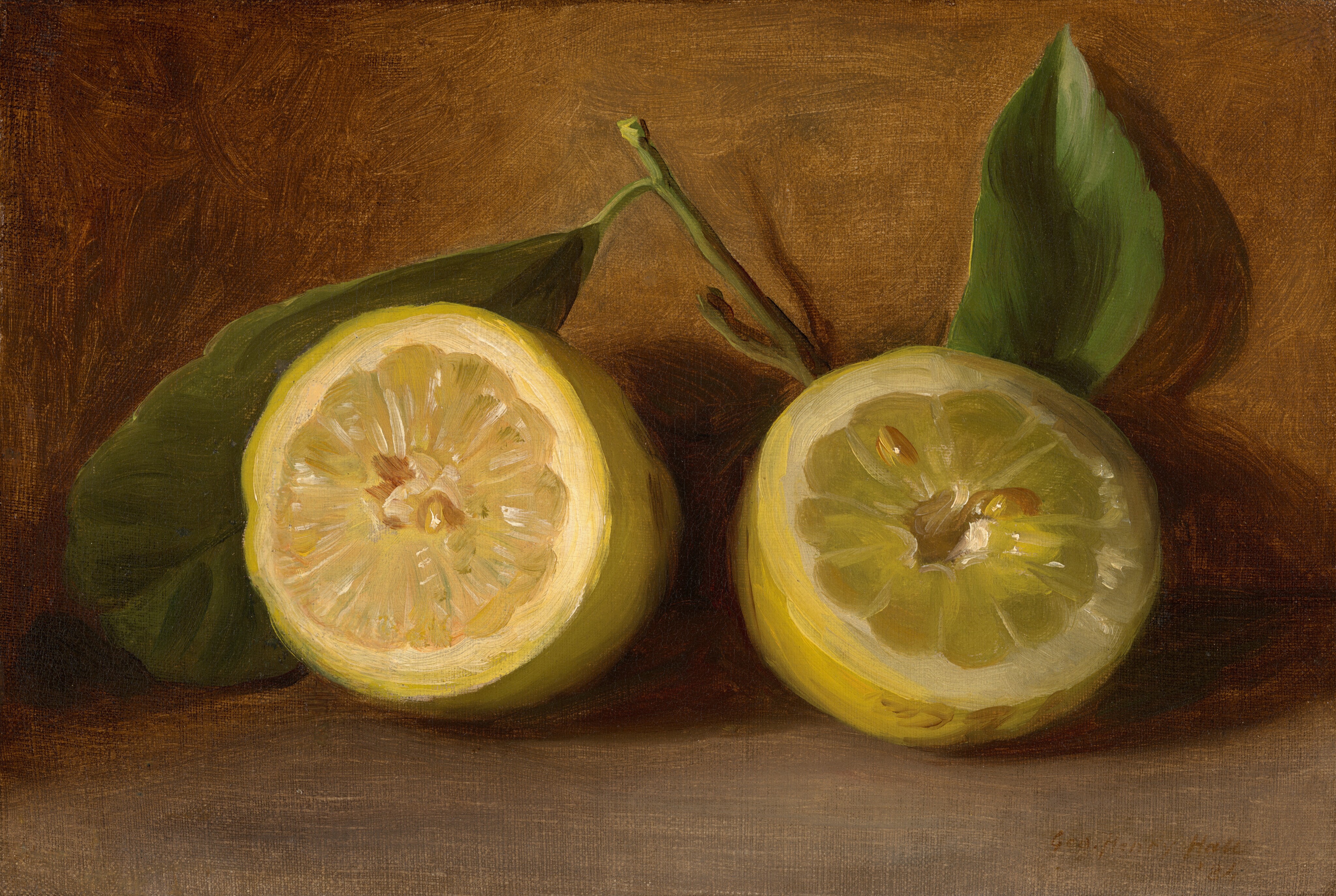 This painting shows two halves of a pale-yellow lemon with visible seeds and a small hole in the center. Two green leaves and a short stem accompany the lemon halves. The lemon halves are placed side by side in the center of the painting, with one half slightly angled towards the right. The background is brown, and the lemon halves cast dark shadows.