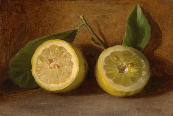 This painting shows two halves of a pale-yellow lemon with visible seeds and a small hole in the center. Two green leaves and a short stem accompany the lemon halves. The lemon halves are placed side by side in the center of the painting, with one half slightly angled towards the right. The background is brown, and the lemon halves cast dark shadows.