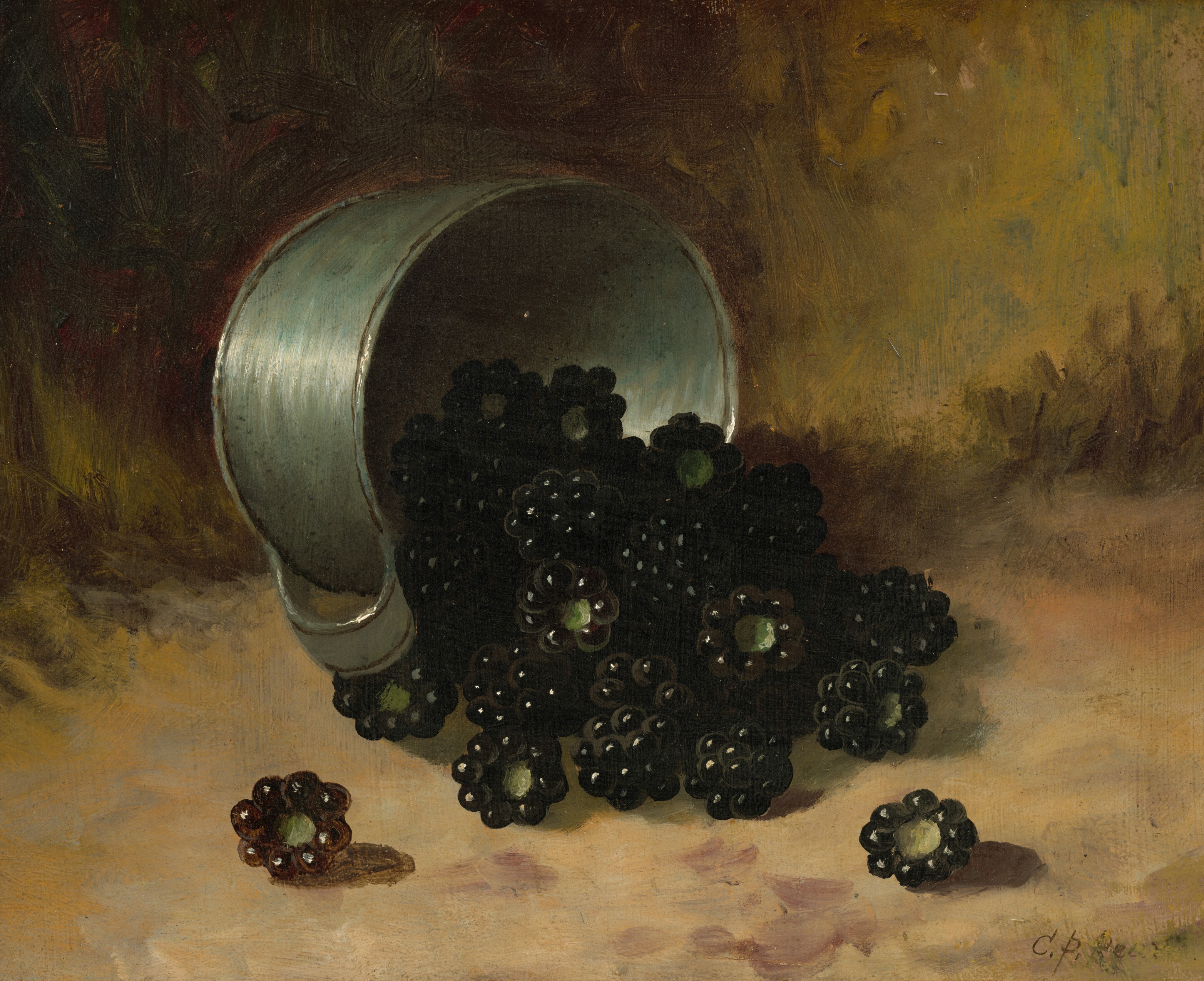 This painting shows an overturned silver cup spilling blackberries on a brown surface. The berries are concentrated in the center of the painting, near the opening of the cup, although some spill out closer to us. They are black with areas of pale green at the top, and they reflect small points of light. The surface beneath the cup and berries, and the wall behind, are both mottled brown with areas of pink, yellow ochre, and dark red, with the top left corner in shadow.