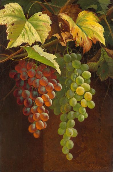 Two clusters of grapes are depicted in this painting, hanging down from the top. The left cluster includes reddish-purple grapes, while the right cluster contains green grapes, both attached to vines that loop around thin, leafy branches at the top of the painting. Light illuminates the grapes on the right, while the left sides of the clusters are in shadow. The wide leaves at the top contain shades of green and orange-brown. The background behind the grapes is brown, lighter on the right and darker on the left.