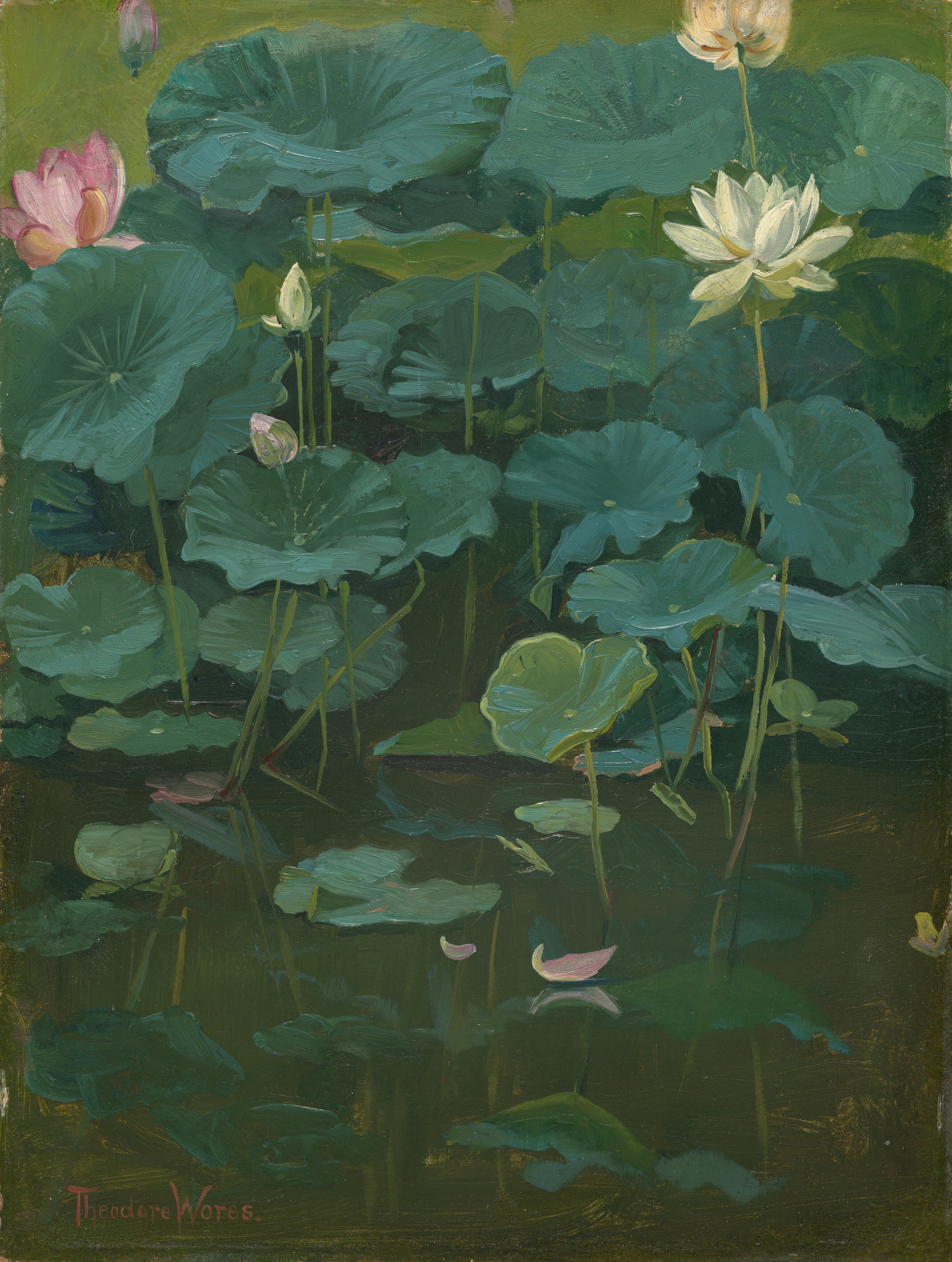 This painting depicts a collection of large green lily pads and blooming lotus flowers. The flowers are primarily white and pink, resting on the ends of long stems. Lily pads and stems dominate the upper and middle sections of the painting, while the bottom third shows dark green water that reflects the lily pads. A few pink petals rest on the water. Behind the plants is a light green background.
