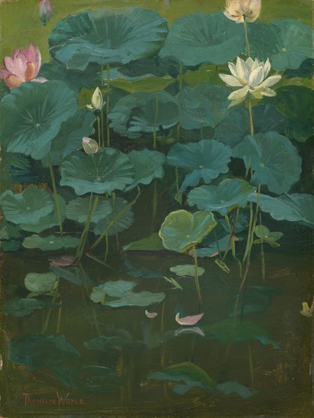 This painting depicts a collection of large green lily pads and blooming lotus flowers. The flowers are primarily white and pink, resting on the ends of long stems. Lily pads and stems dominate the upper and middle sections of the painting, while the bottom third shows dark green water that reflects the lily pads. A few pink petals rest on the water. Behind the plants is a light green background.