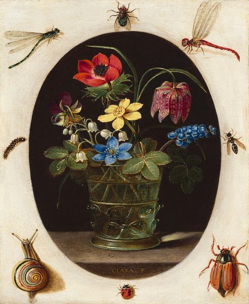 A glass holding a loose bouquet of flowers set within an oval is surrounded by eight insects against an off-white surface in this vertical still life painting. It is impossible to tell whether the oval is an opening piercing the white surface or if the still life is an oval-shaped painting sitting on top of the white surface. The glass holding the flowers has straight, slightly flaring sides with a ring of textured knubs around the bottom third. Flowers in the glass include a white lily of the valley, yellow and purple violet, blue grape hyacinth, yellow narcissus, red poppy, upside-down cup-shaped pink snake’s head fritillary, and stems of greenery. The bouquet is lit from the left, and a ray of light focused by the glass falls across the back edge of the wooden ledge on which the glass sits. Two drops of water bead on the ledge, and the artist signed the front face of the ledge, “CLARA P.” The background behind the flowers within the oval is black. The bugs on the white surface are much larger in scale, painted precisely so anatomical details can be made out. Across the top are a dragonfly with a green body, a house fly with red eyes, and a dragonfly with a red body. A fuzzy caterpillar is to the left of the oval and a hornet is to the right. Across the bottom are a snail, a ladybug, and a beetle with a black body and red wings and legs.