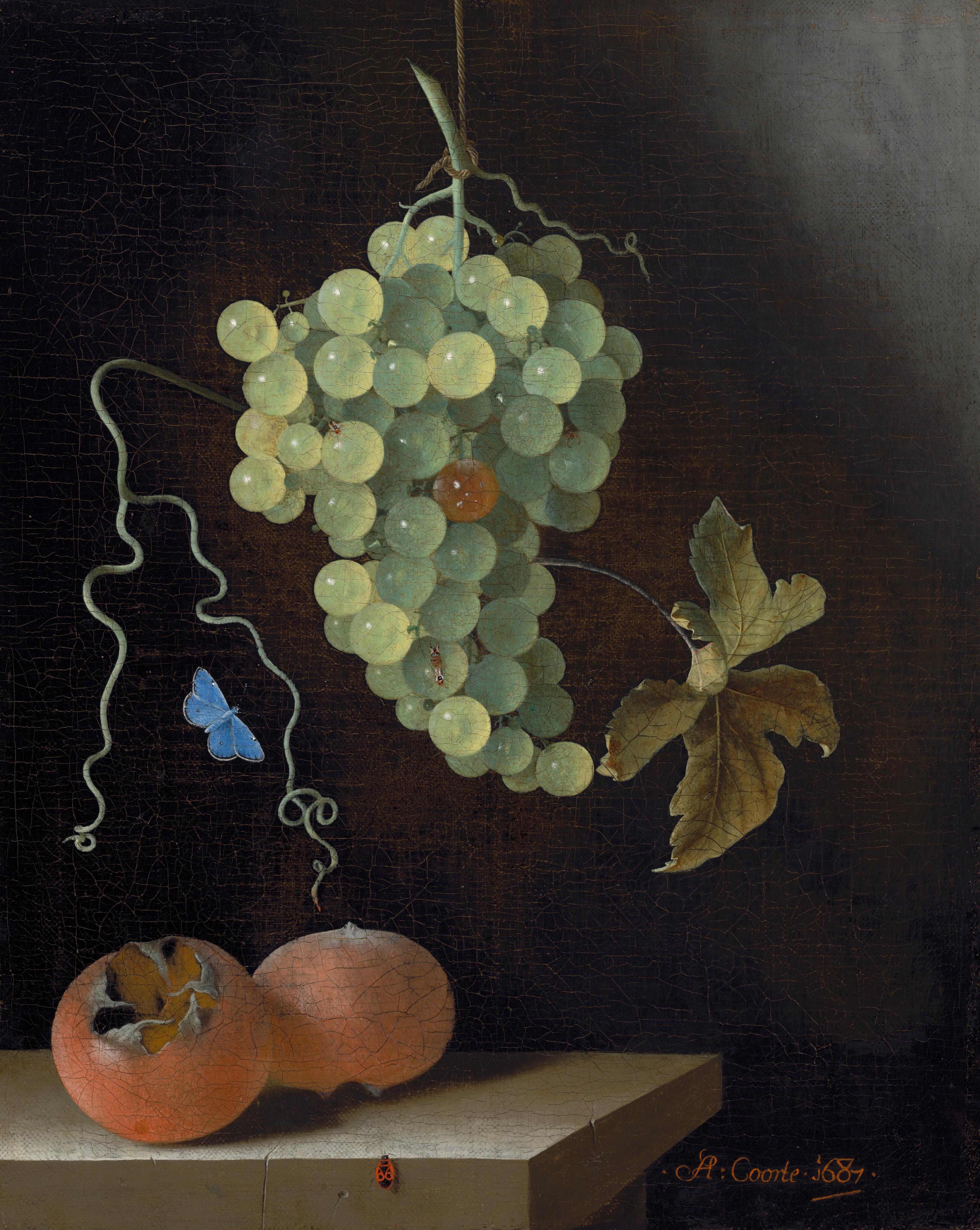A large cluster of green grapes hangs prominently in the upper center of this painting, accompanied by an intertwined vine and a single olive-green leaf. One of the grapes at the center of the bunch is a golden color, while the others are light green. Below the grapes, two round red fruits rest on the surface of a table, one with an opening that reveals a light orange interior. A delicate blue butterfly flutters to the left of the grapes, and a small red ladybug sits at the edge of the table at the bottom of the painting. The table is light brown, and the background behind the fruit and bugs is black.
