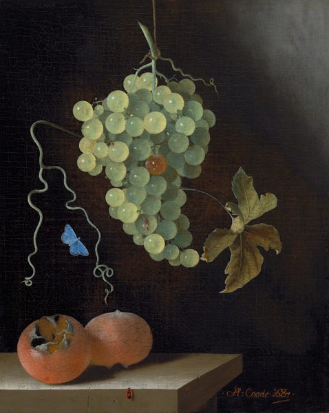 A large cluster of green grapes hangs prominently in the upper center of this painting, accompanied by an intertwined vine and a single olive-green leaf. One of the grapes at the center of the bunch is a golden color, while the others are light green. Below the grapes, two round red fruits rest on the surface of a table, one with an opening that reveals a light orange interior. A delicate blue butterfly flutters to the left of the grapes, and a small red ladybug sits at the edge of the table at the bottom of the painting. The table is light brown, and the background behind the fruit and bugs is black.