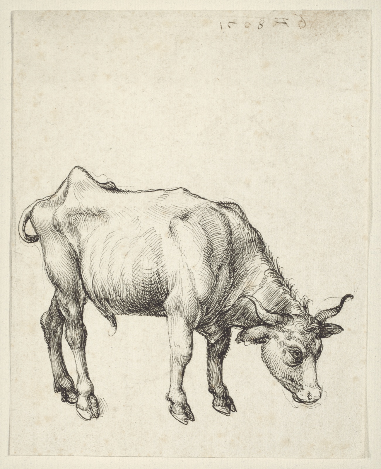 A work made of pen and black ink on ivory laid paper.