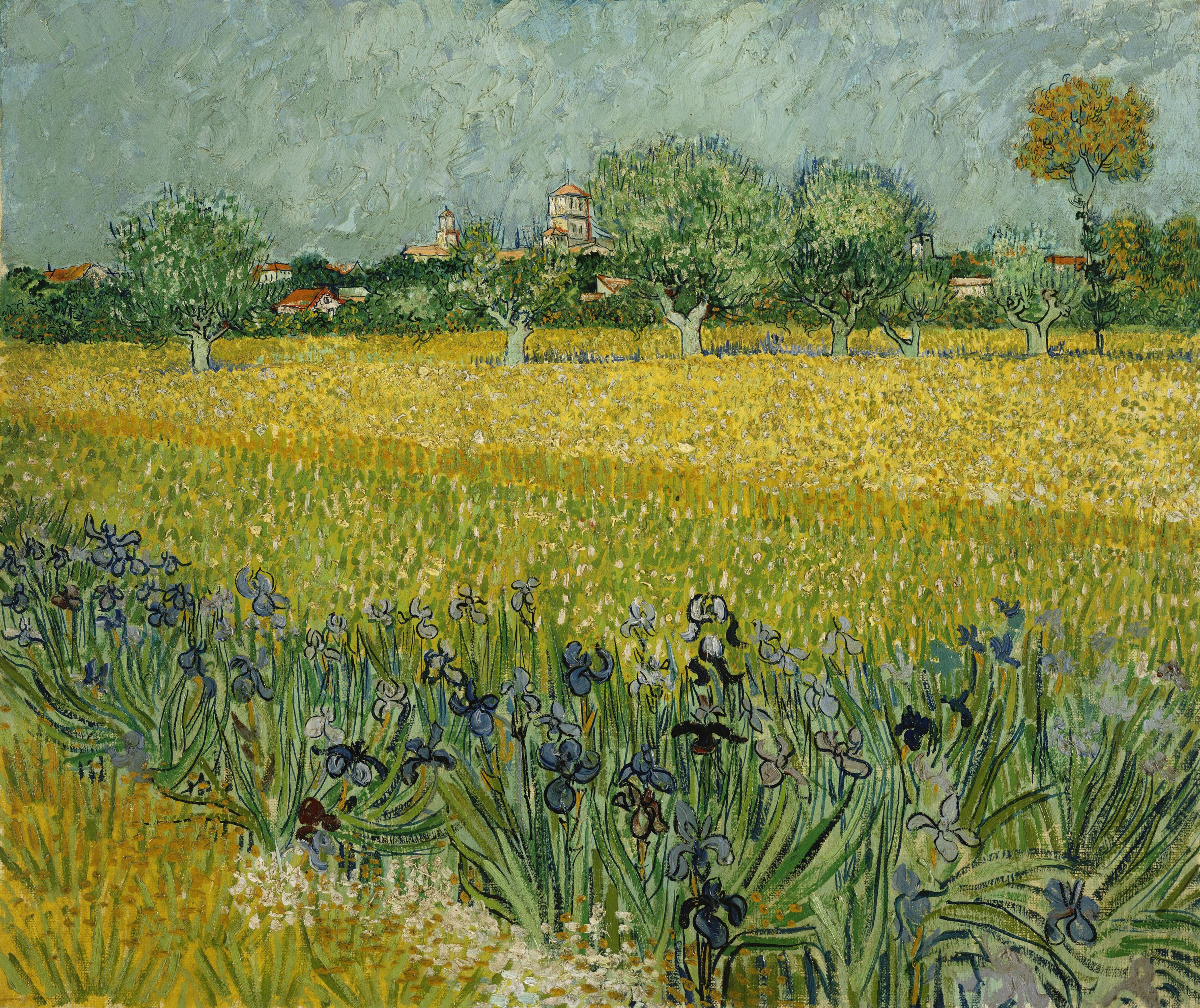 View of Arles with Irises in the Foreground, 1888, by Vincent van Gogh