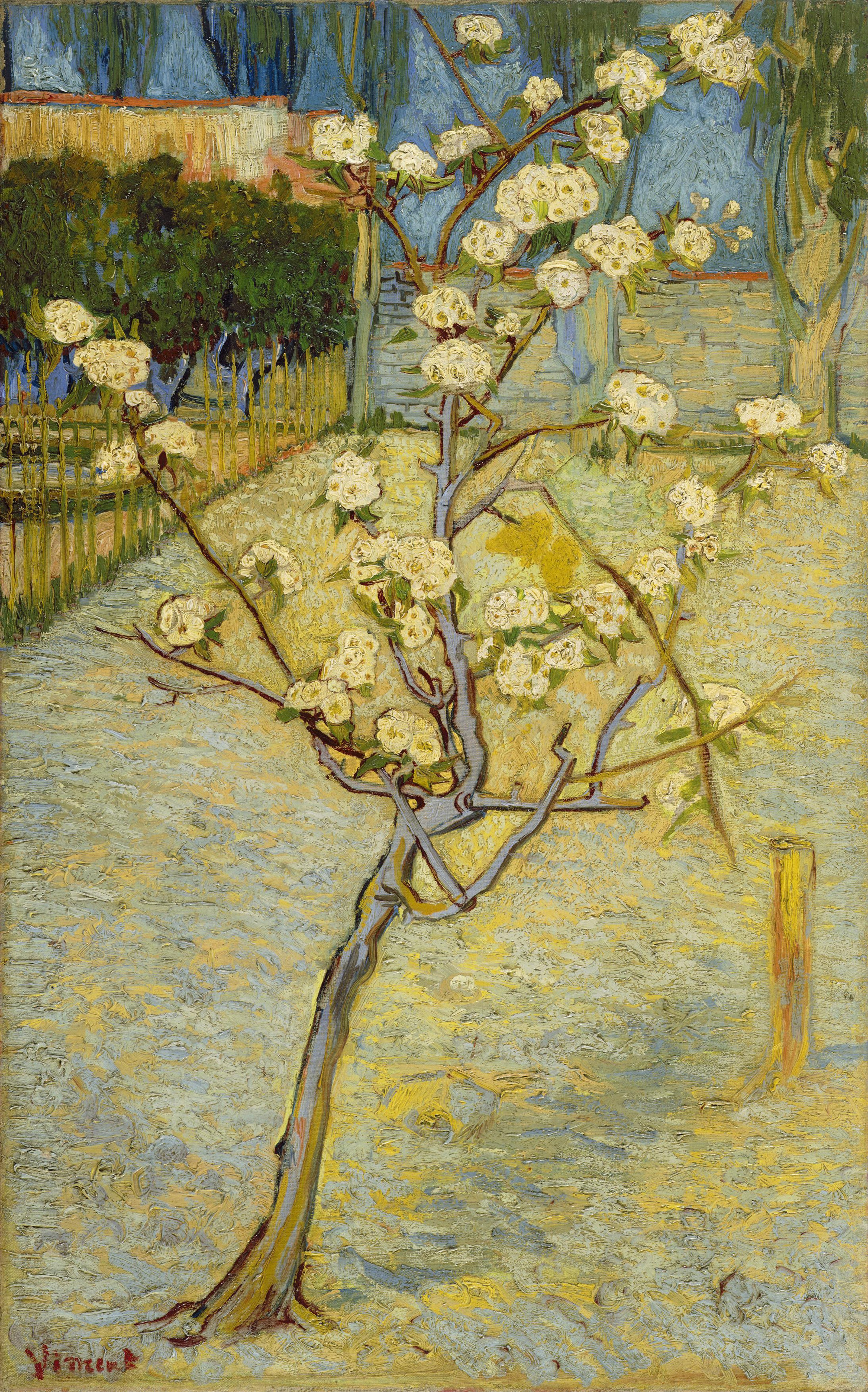 Small pear tree in blossom, 1888, by Vincent van Gogh