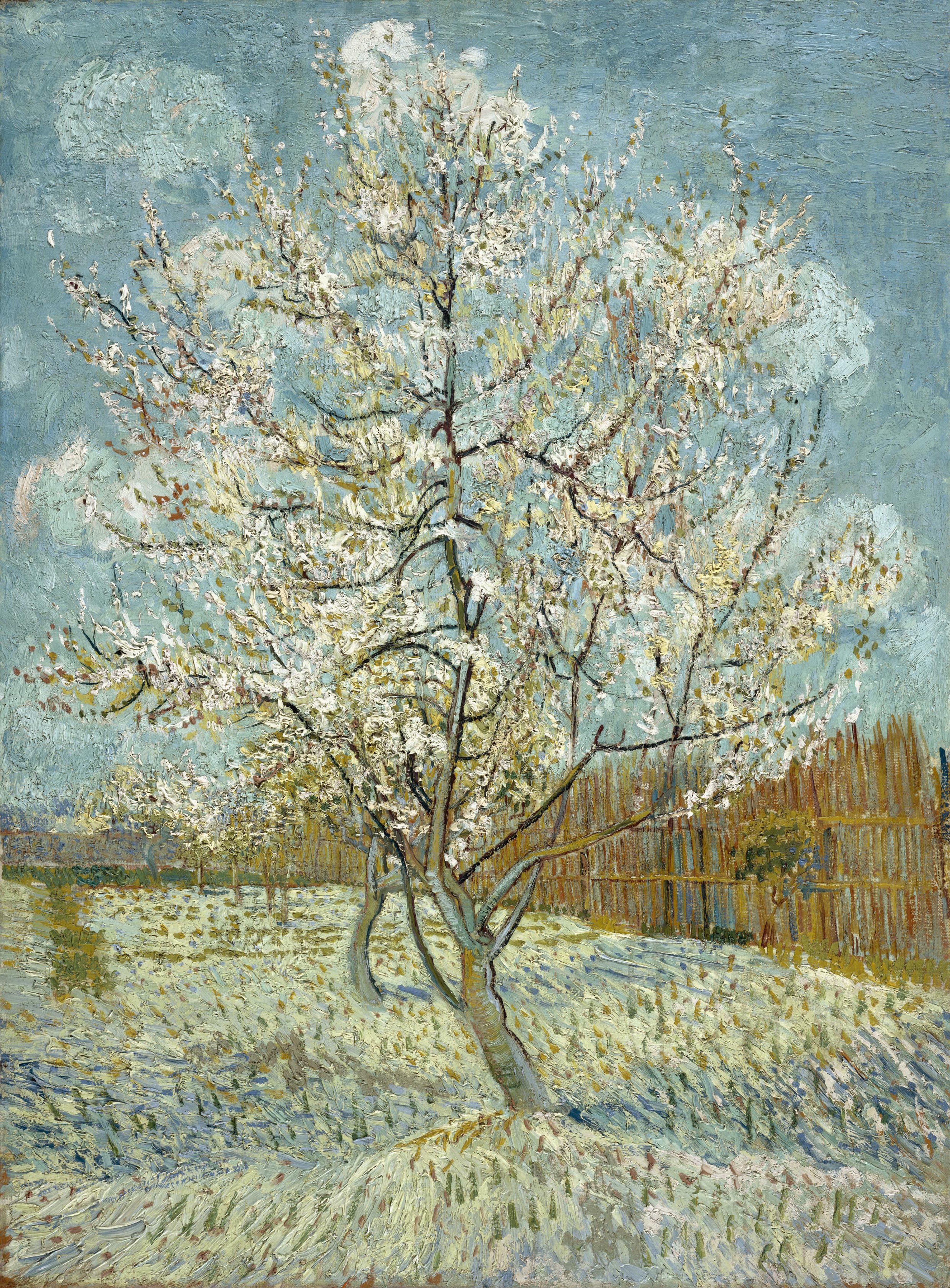 The pink peach tree, 1888, by Vincent van Gogh