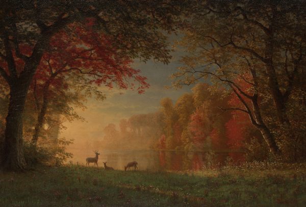 Indian Sunset: Deer by a Lake by Albert Bierstadt