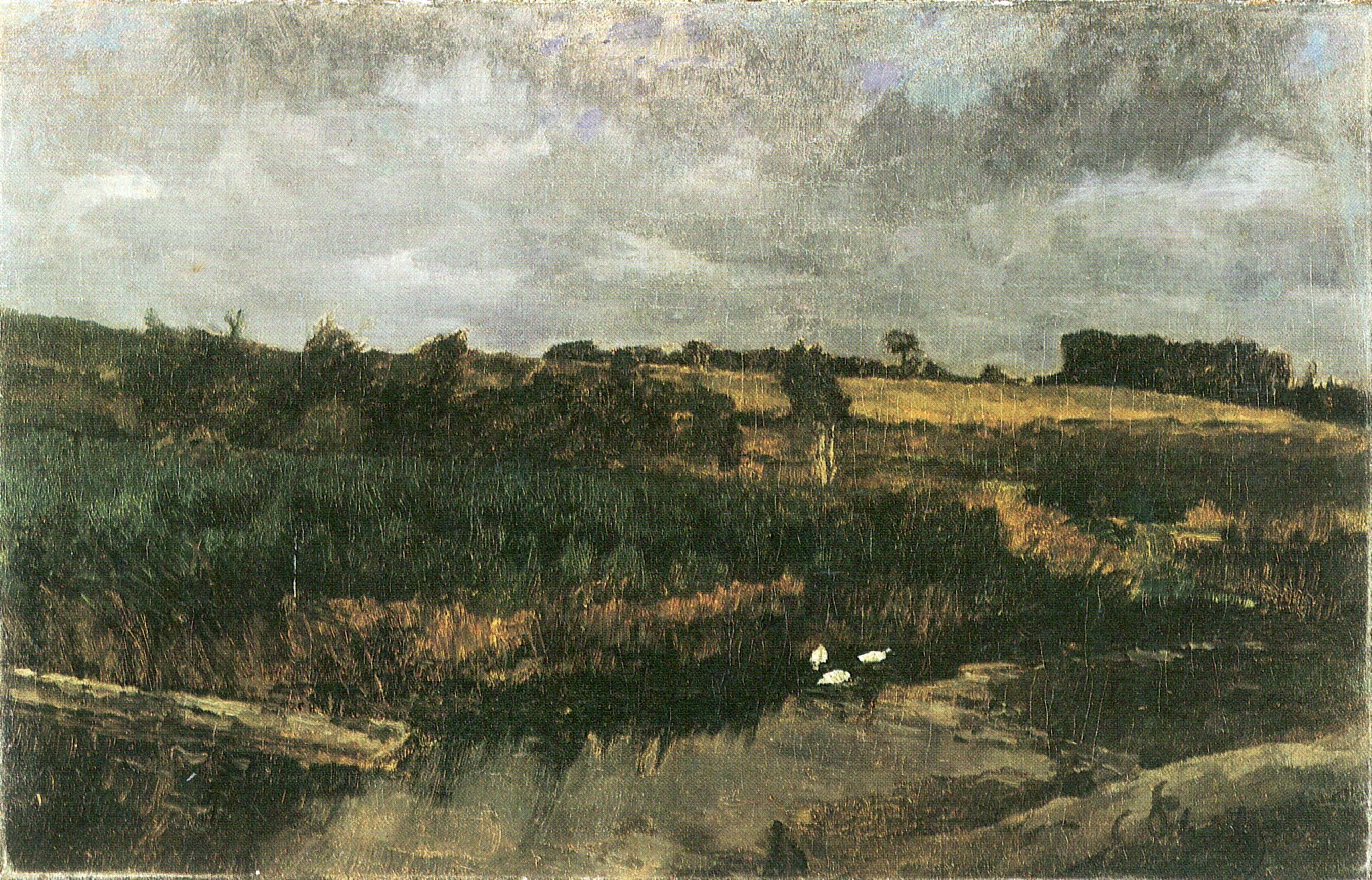 German: Schilfffeld mit Enten (Gewitterstimmung bei Ferch) Thunderstorm mood at Ferch by Carl Schuch