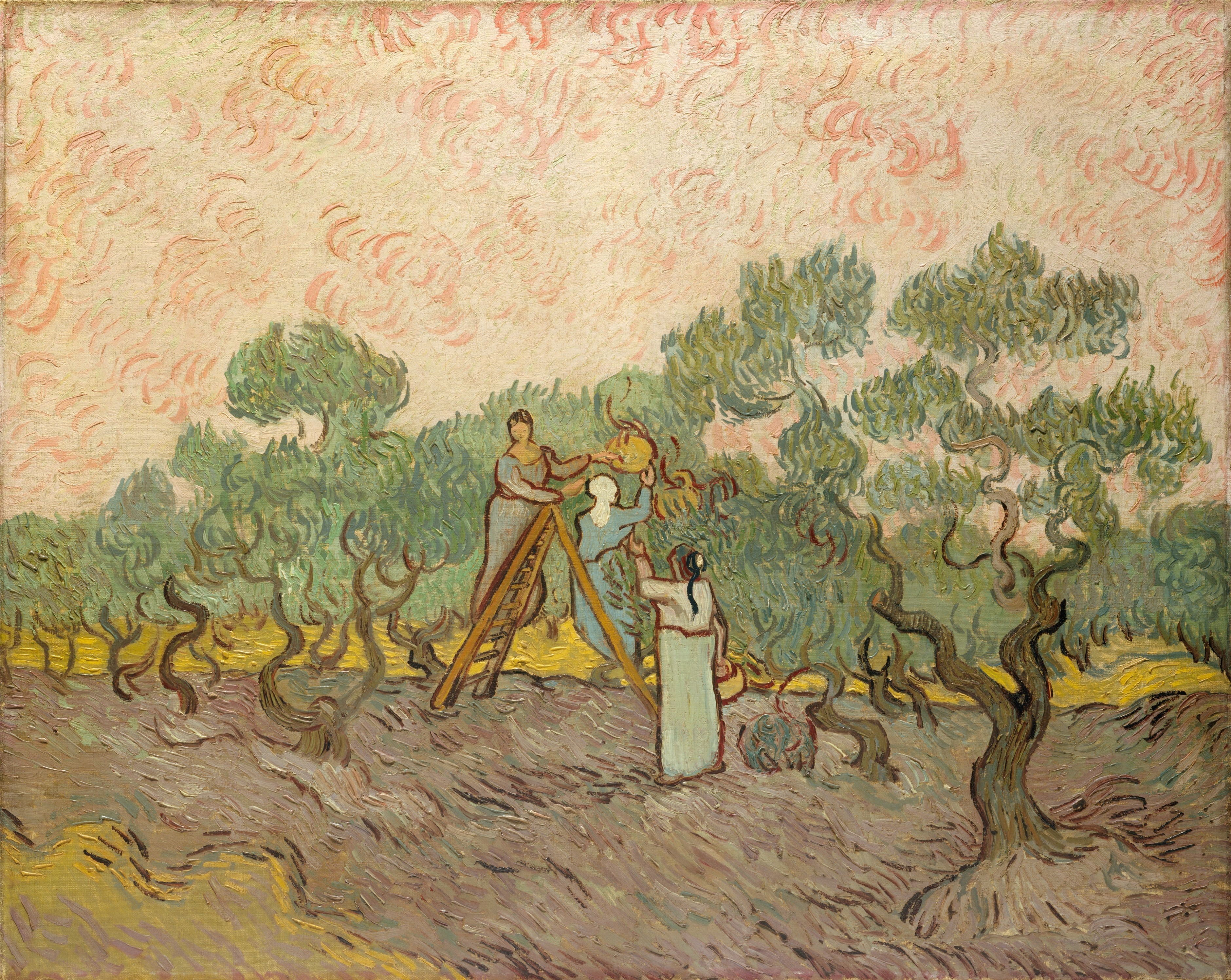 Women Picking Olives, 1889-12, by Vincent van Gogh