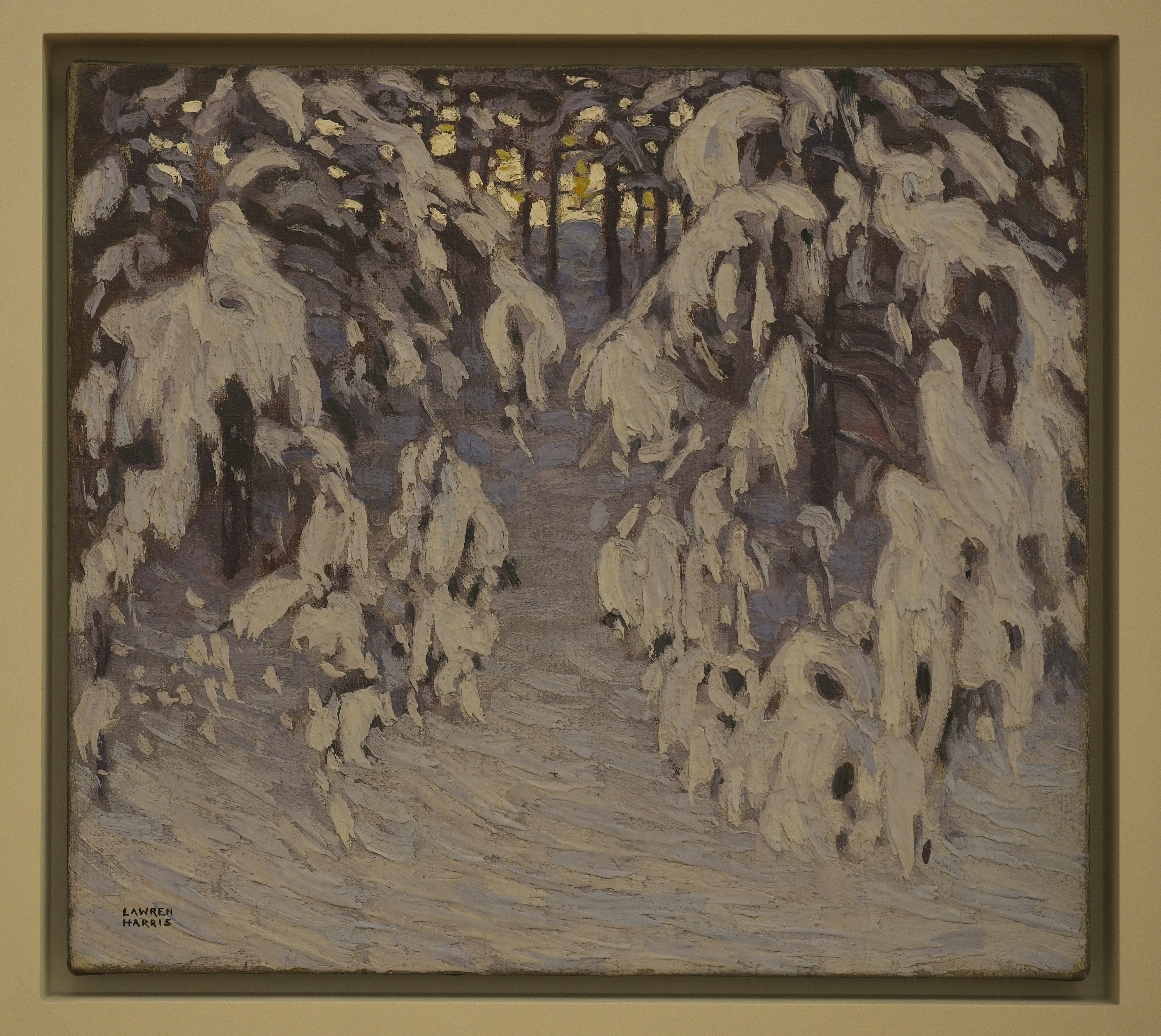 Snow, Algonquin Park