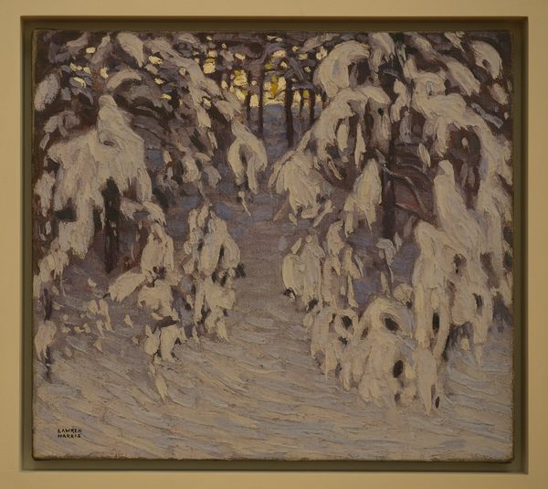 Snow, Algonquin Park