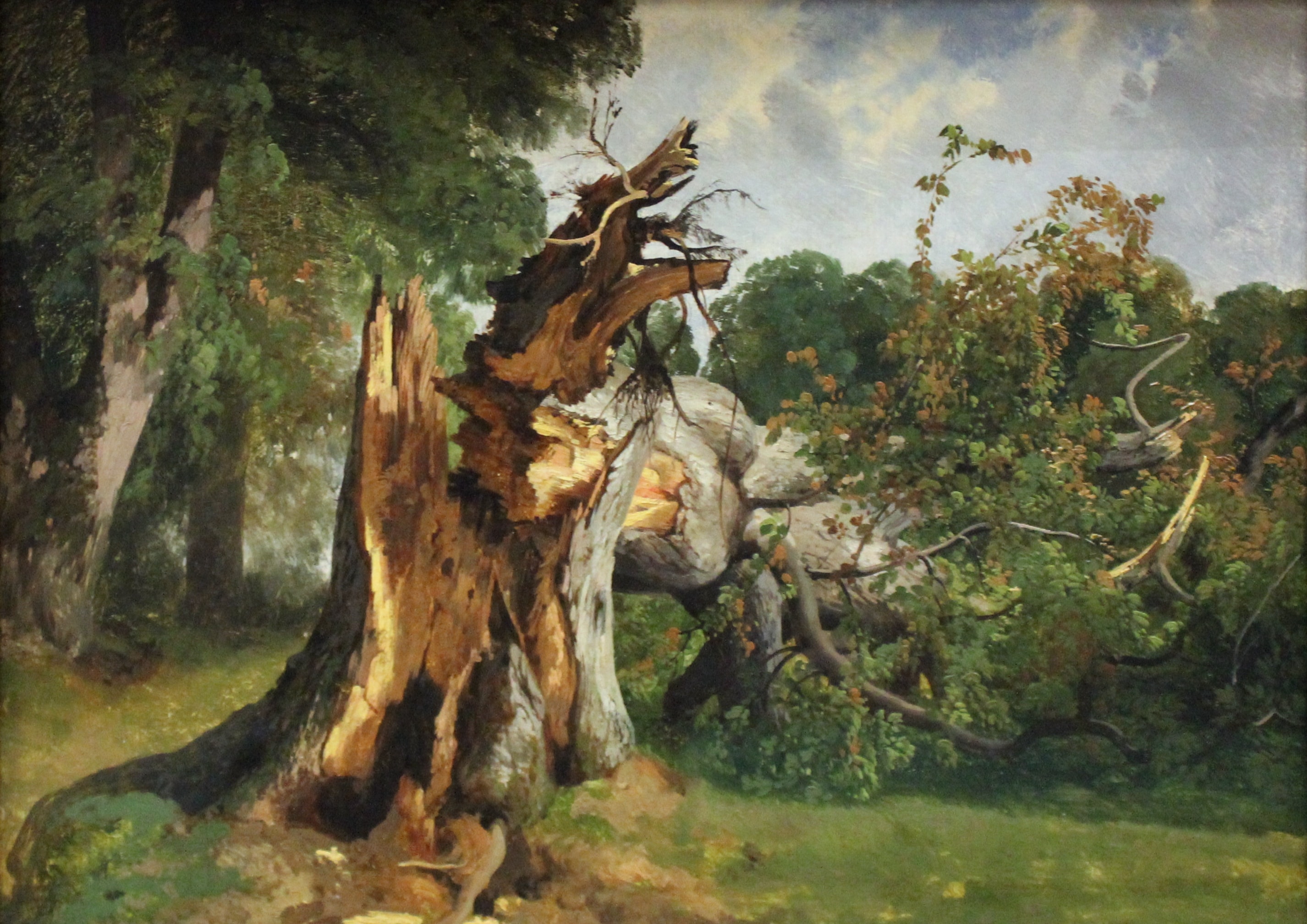 Étude de tronc d'arbre by Alexandre Calame