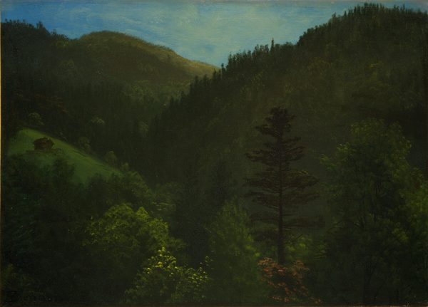 Wooded Landscape by Albert Bierstadt