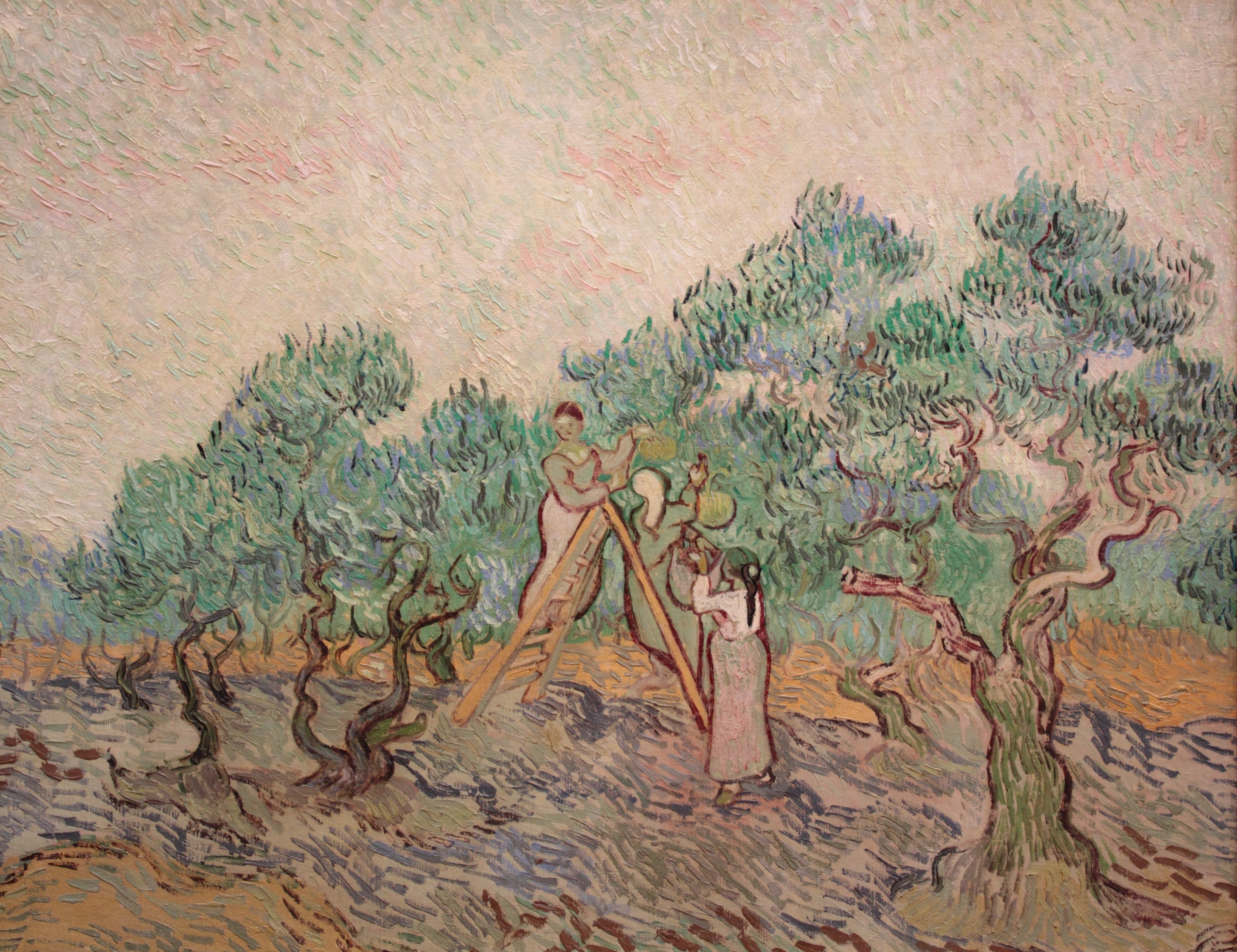 The Olive Orchard, 1889, by Vincent van Gogh