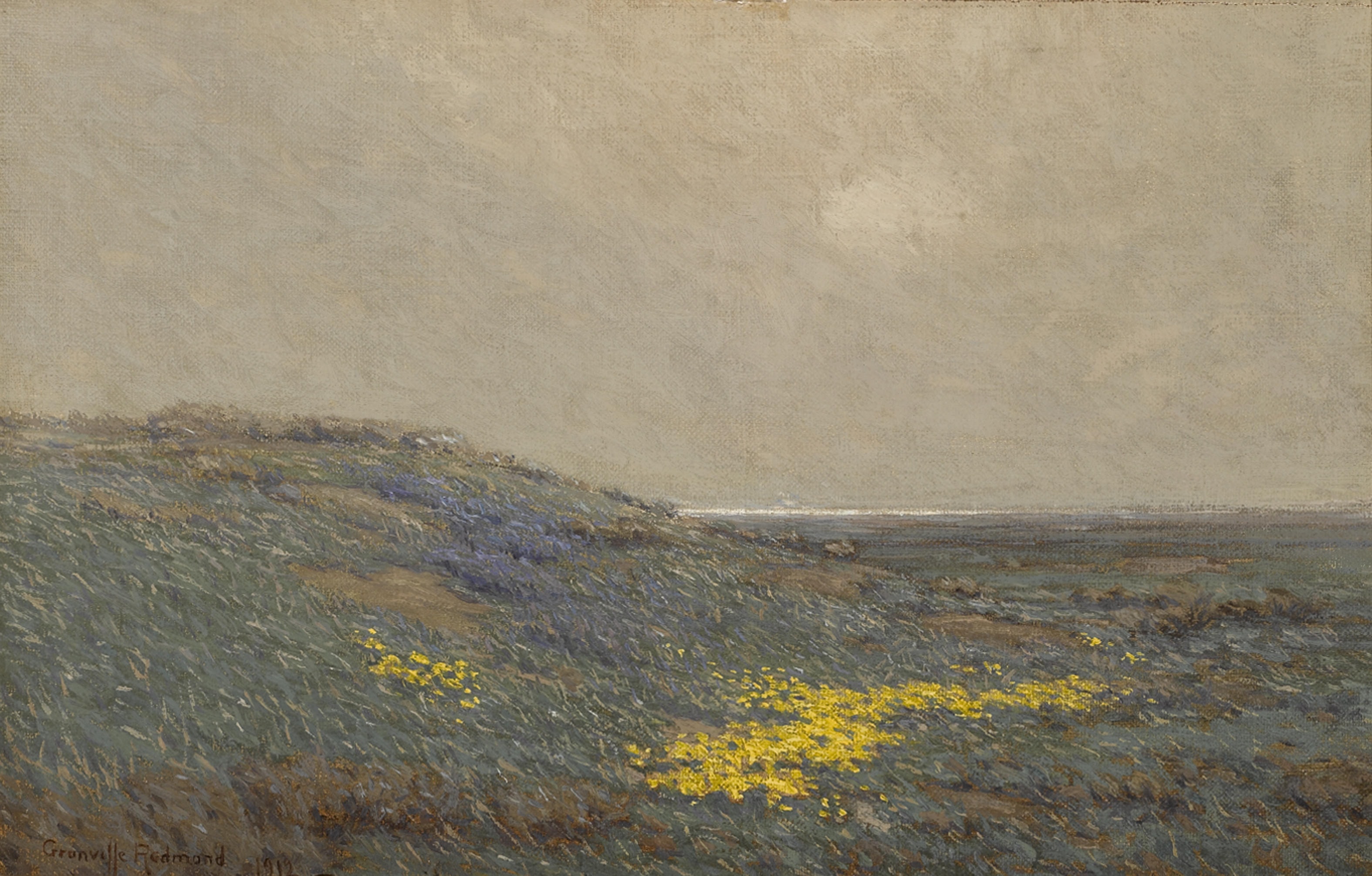 Coastal wildflowers by Granville Redmond