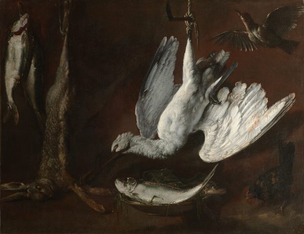 Hare, Spoonbill, and Fish
