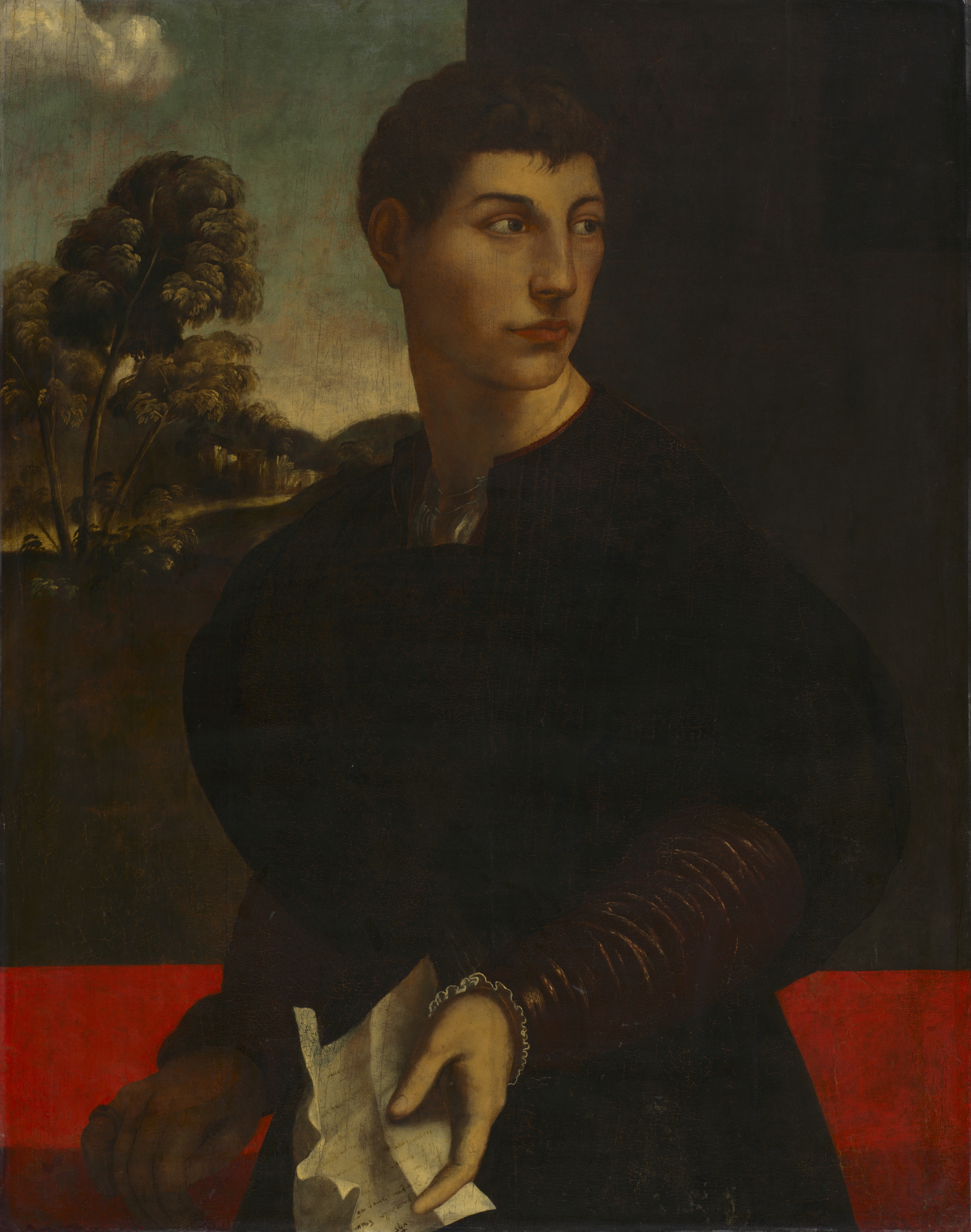Portrait of a Young Man
