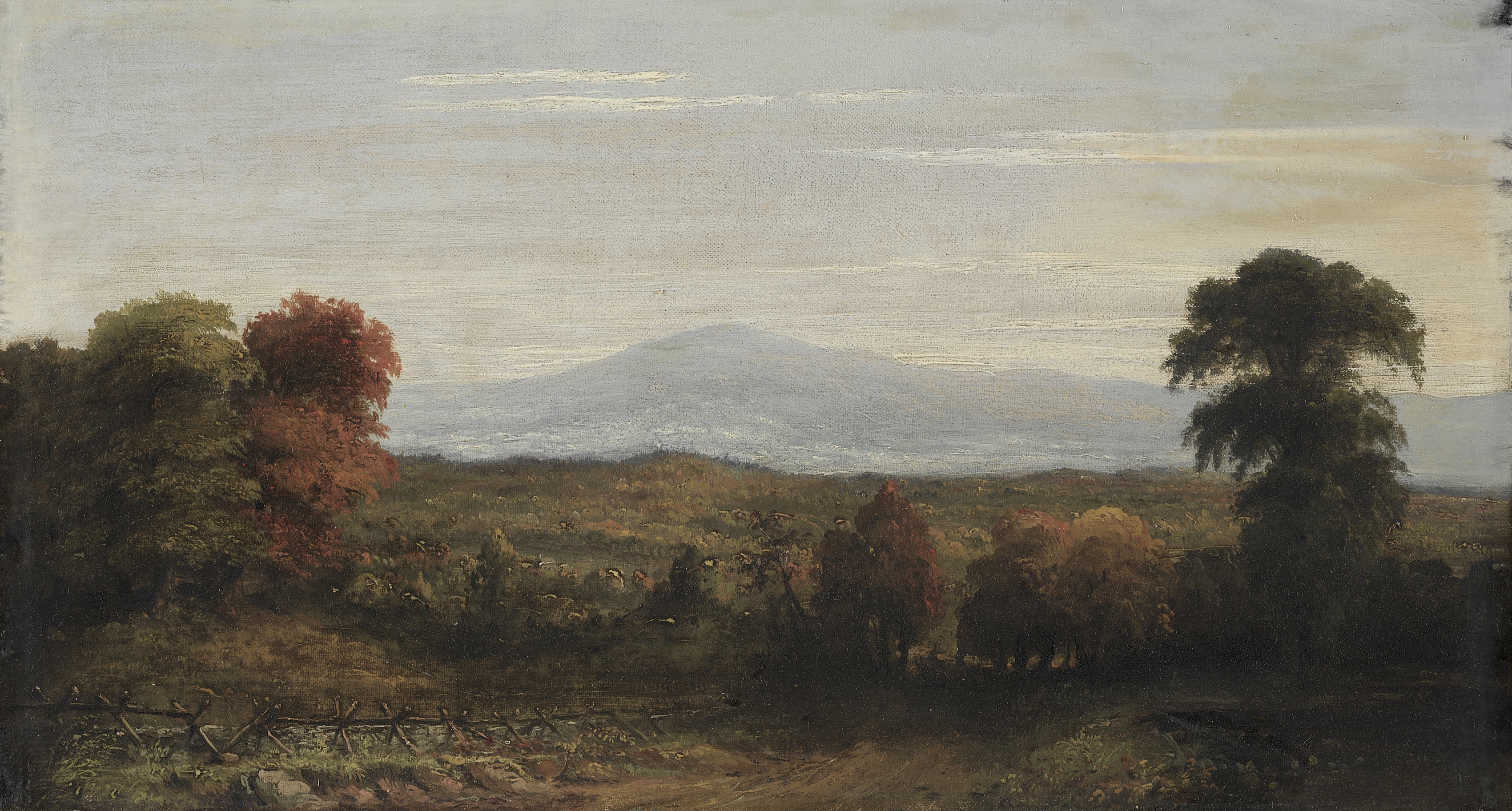 Landscape