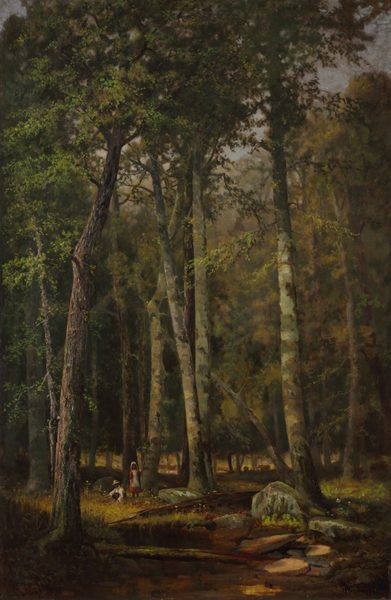 A Summer Afternoon