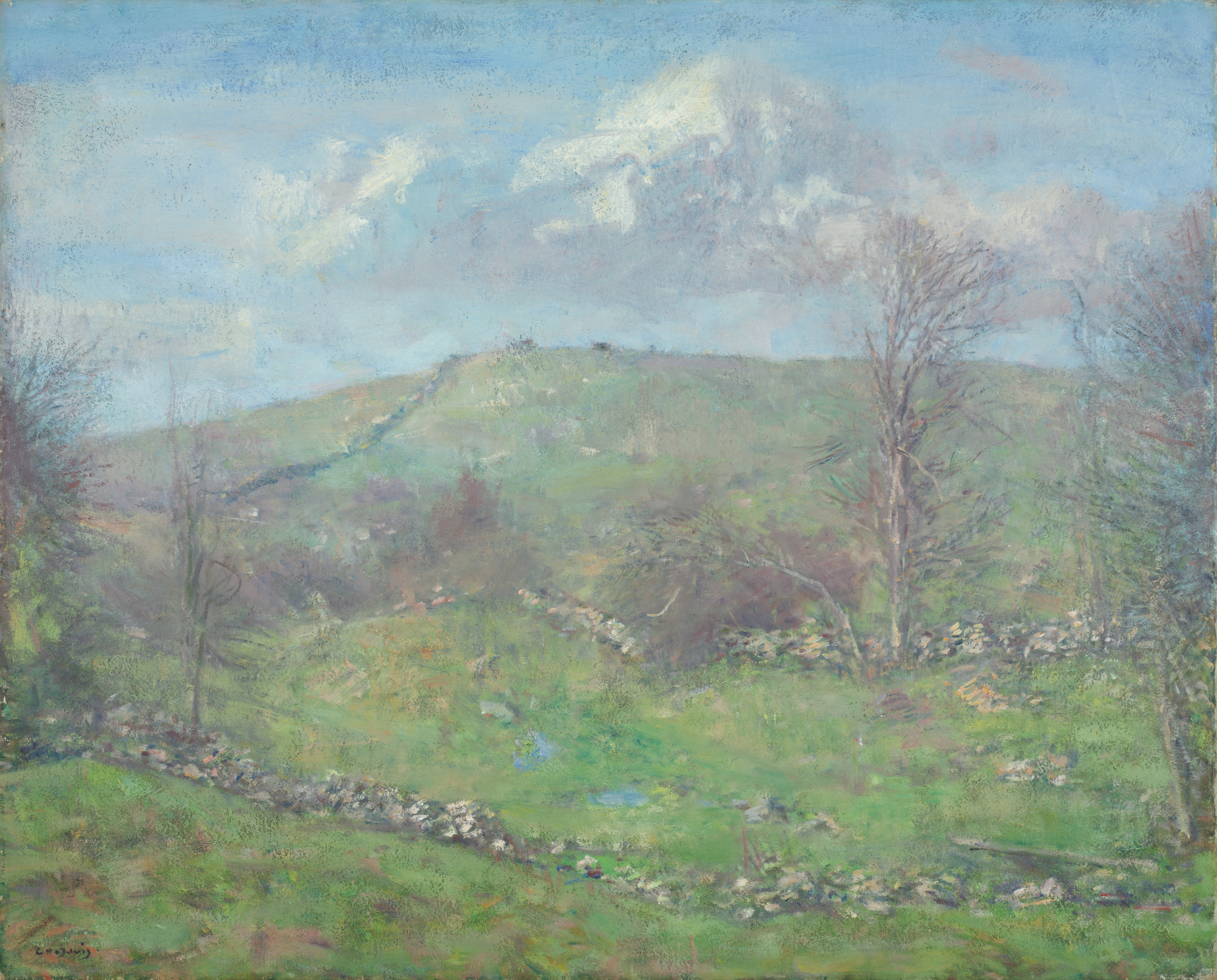 Spring on the Hillside