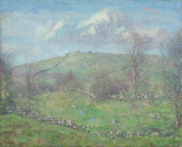 Spring on the Hillside