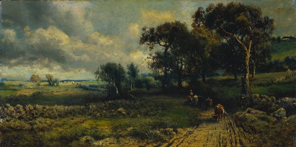 Fleecy Clouds