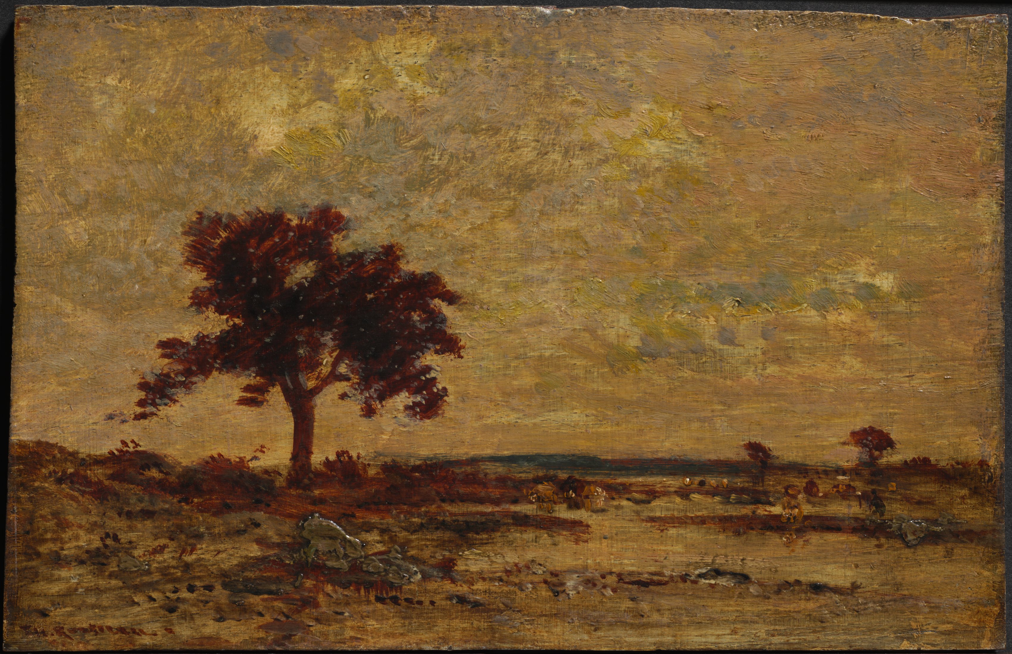 Marshlands