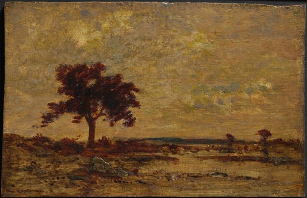 Marshlands