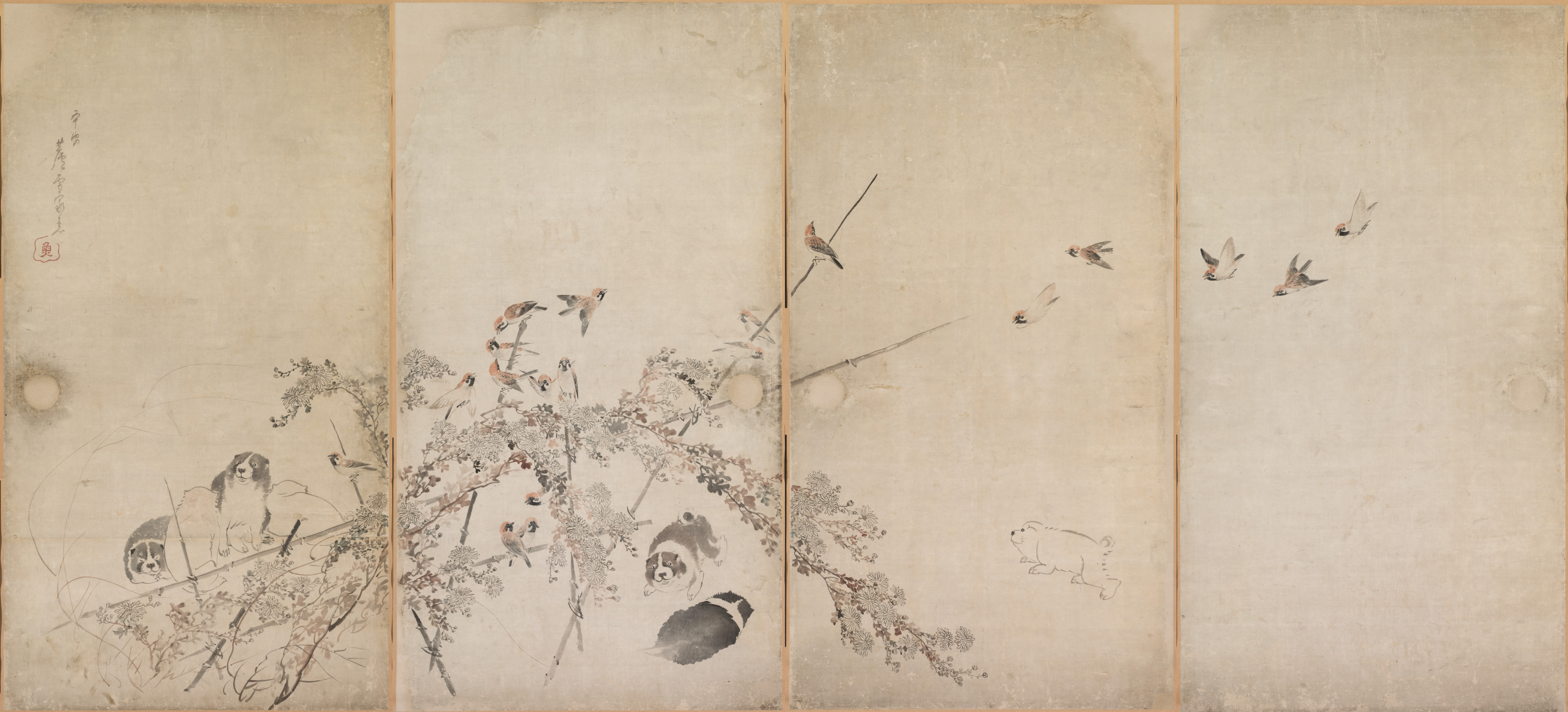 Puppies, Sparrows, and Chrysanthemums