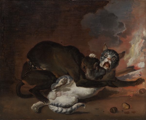 The Monkey and the Cat