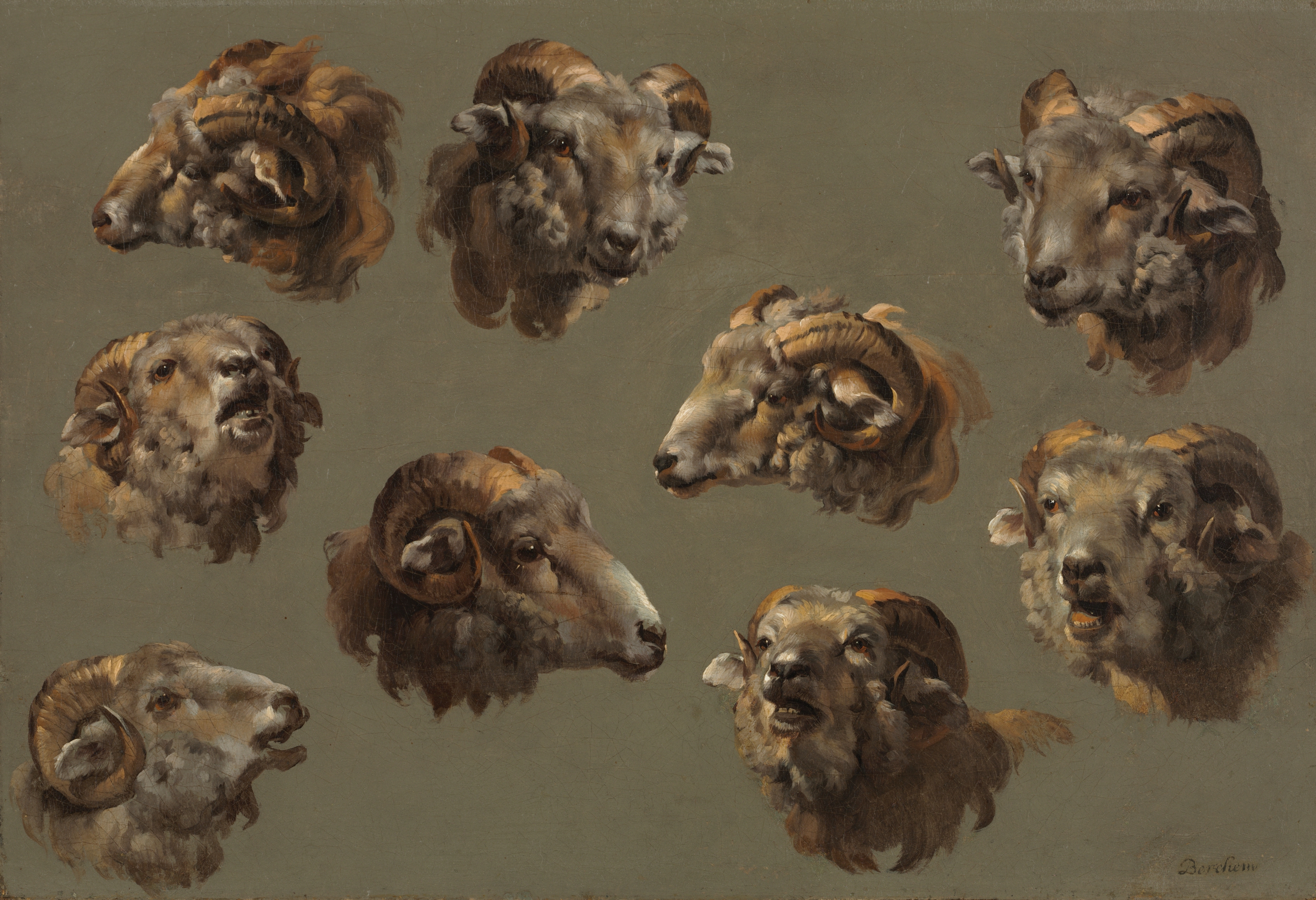 Studies of Ram Heads