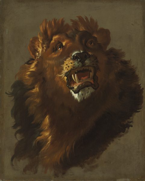 Lion