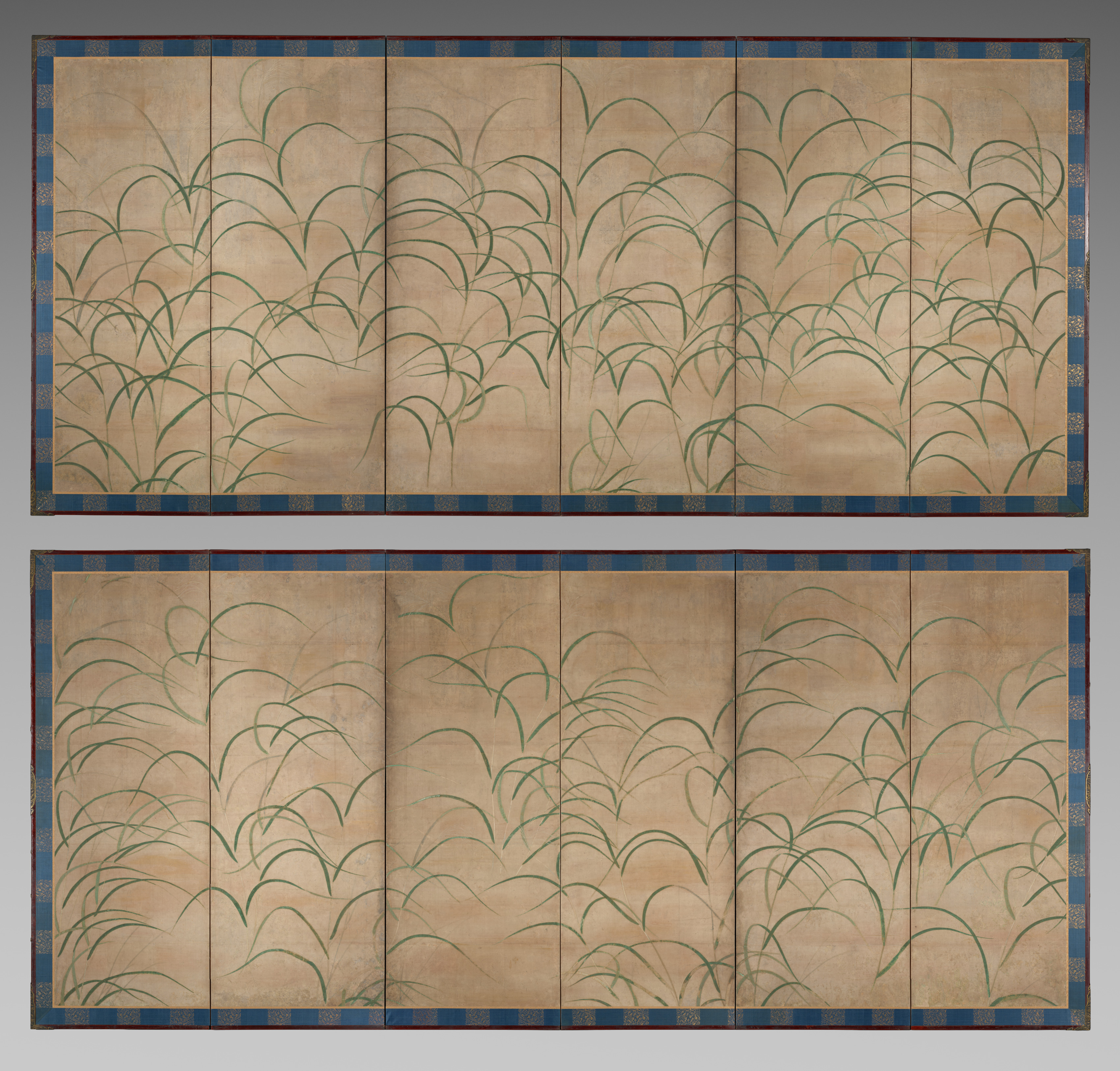 Susuki Grass