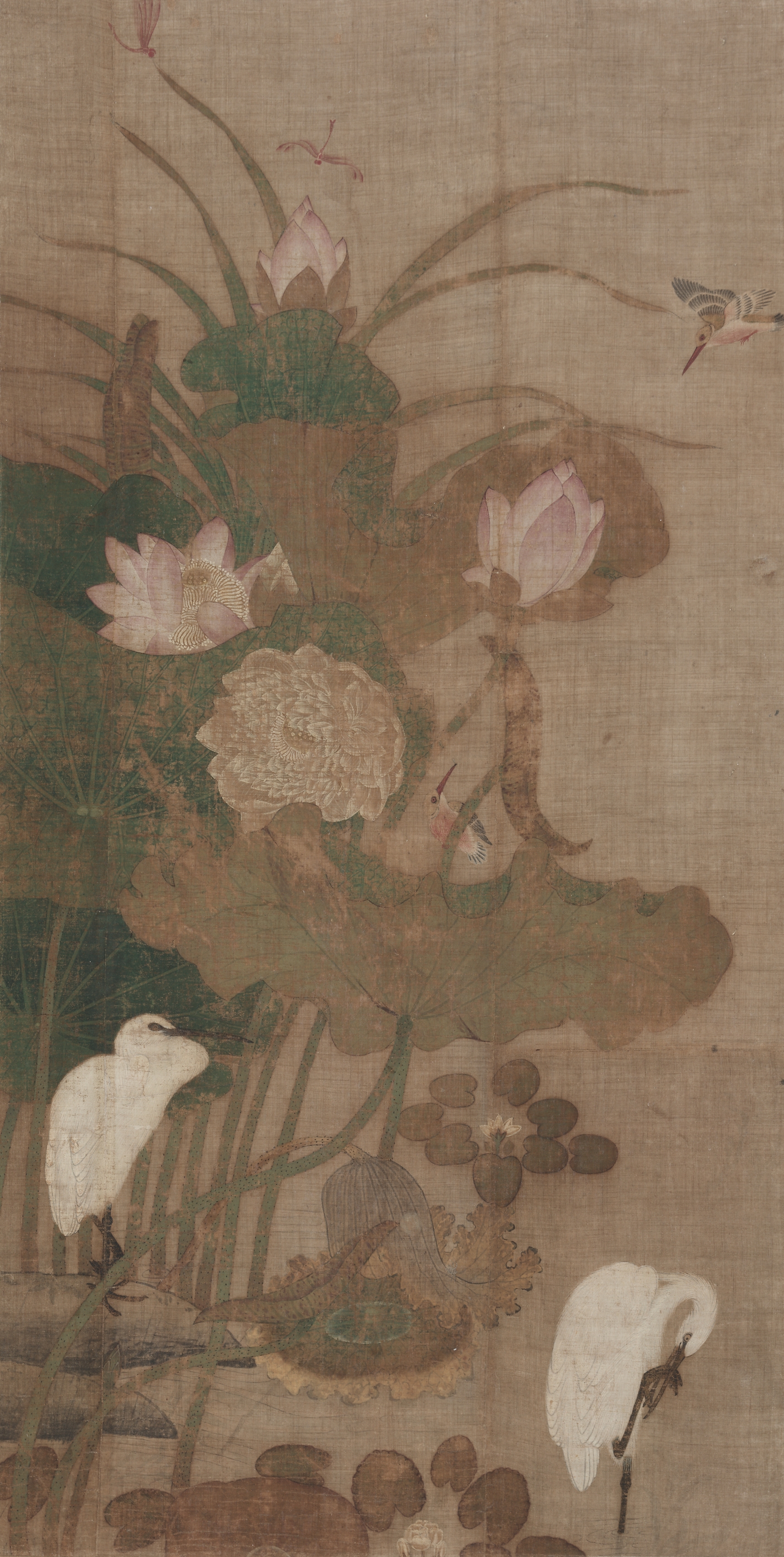 Lotuses, Insects, and Birds