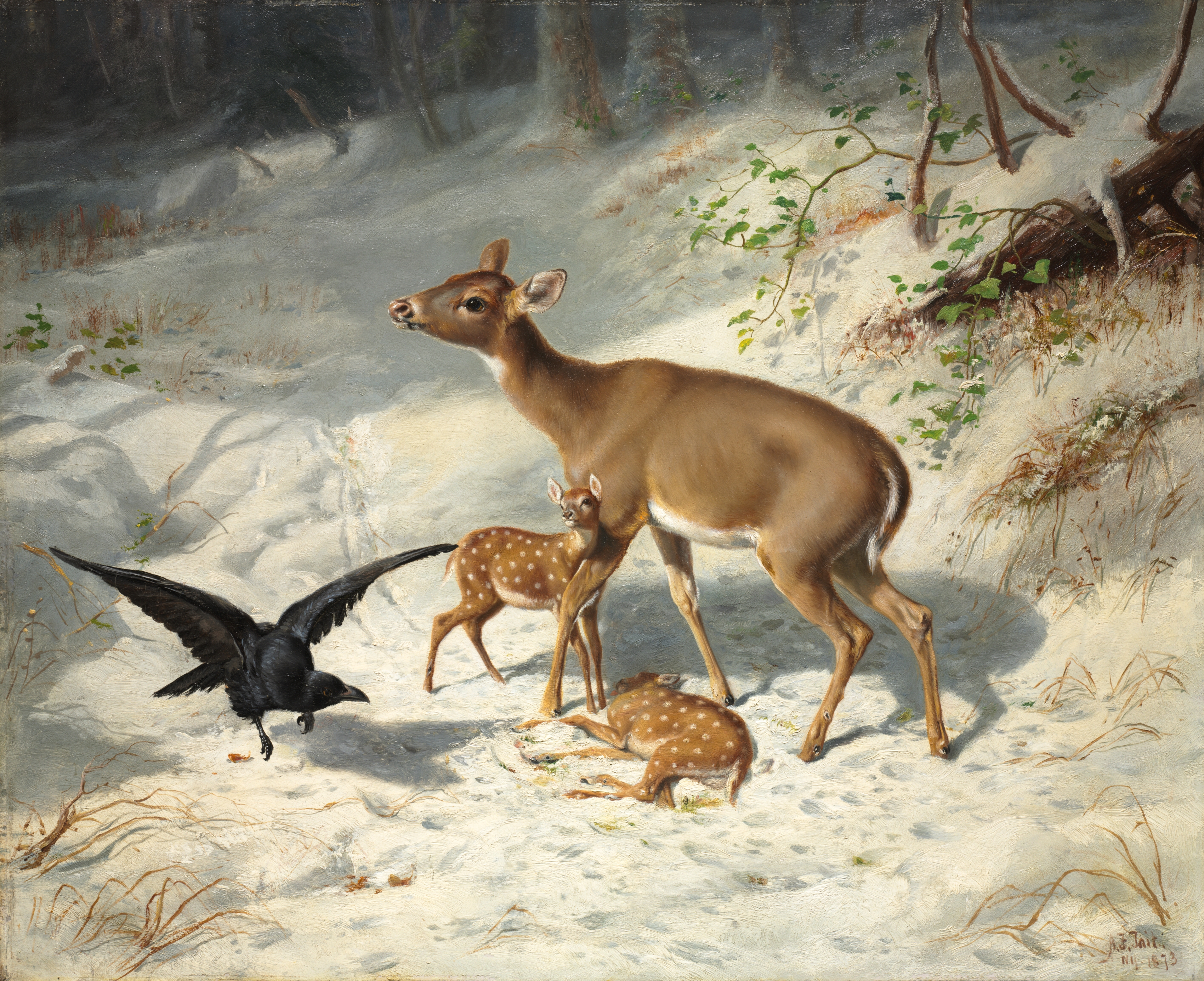 Maternal Solicitude