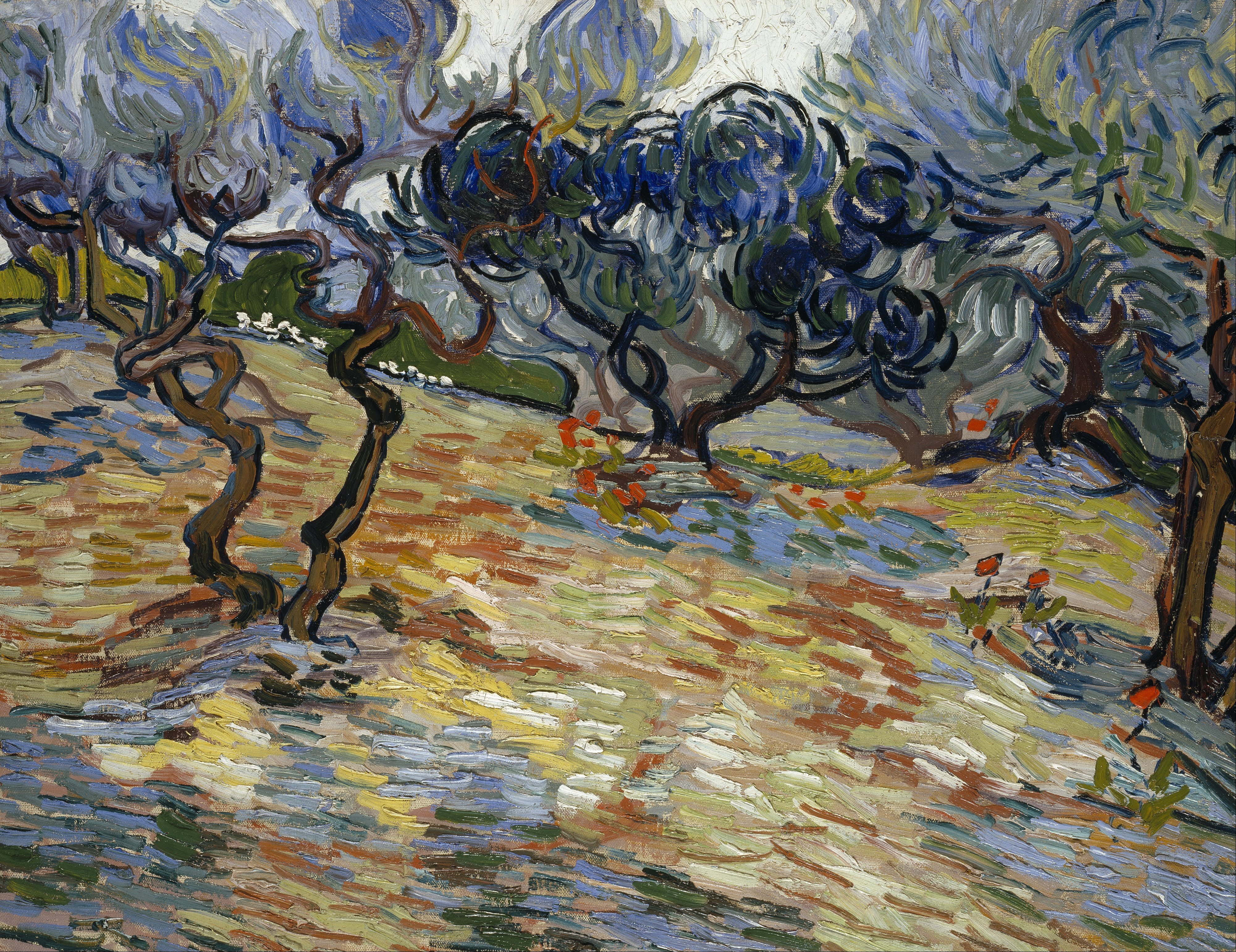 Olive trees, 1889, by Vincent van Gogh