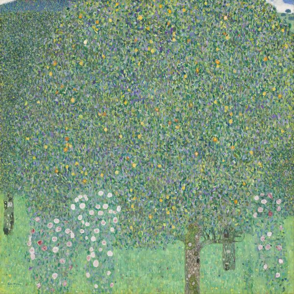 Rosen unter Bäumen by Gustav Klimt