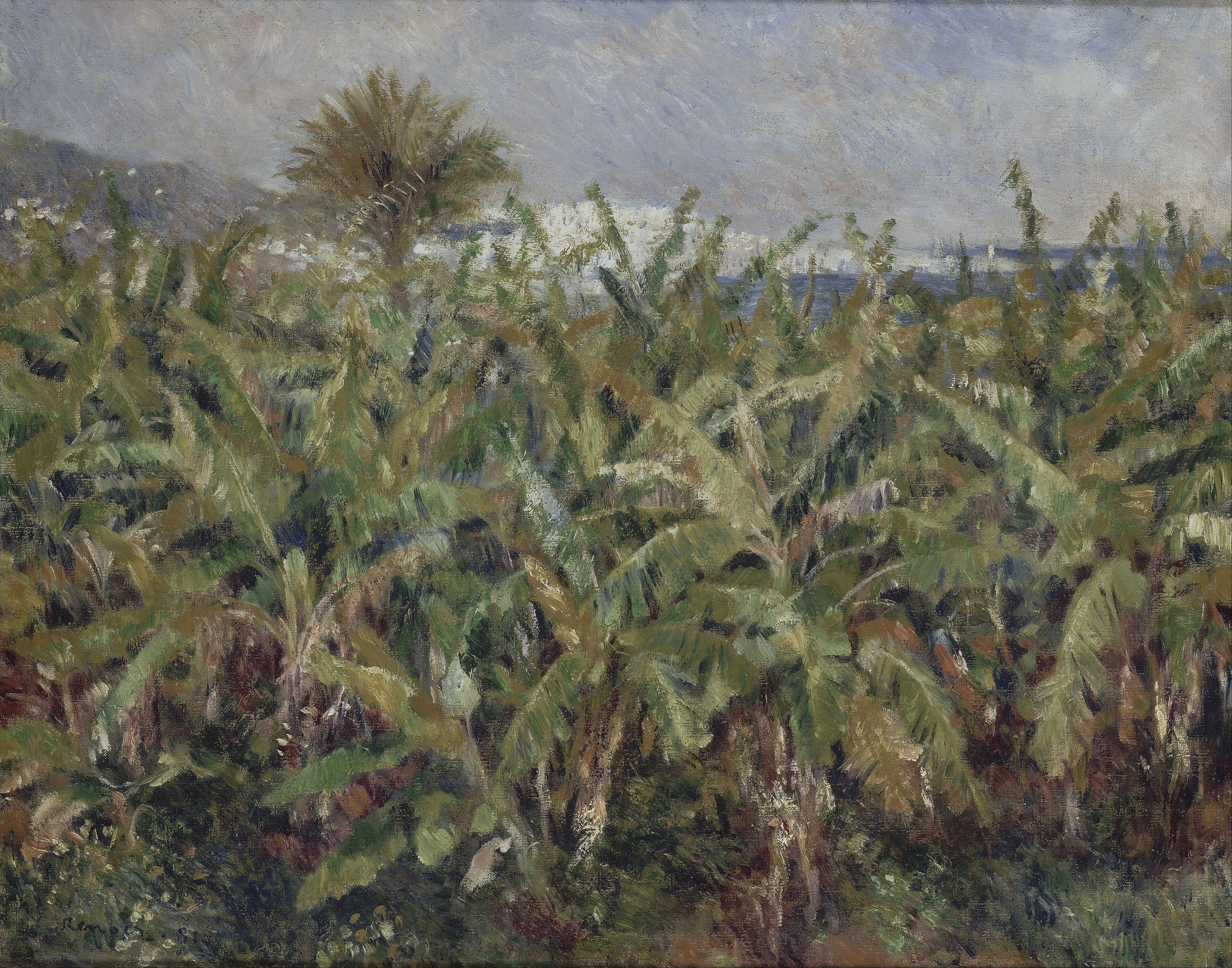 Champ de bananiers by Pierre-Auguste Renoir