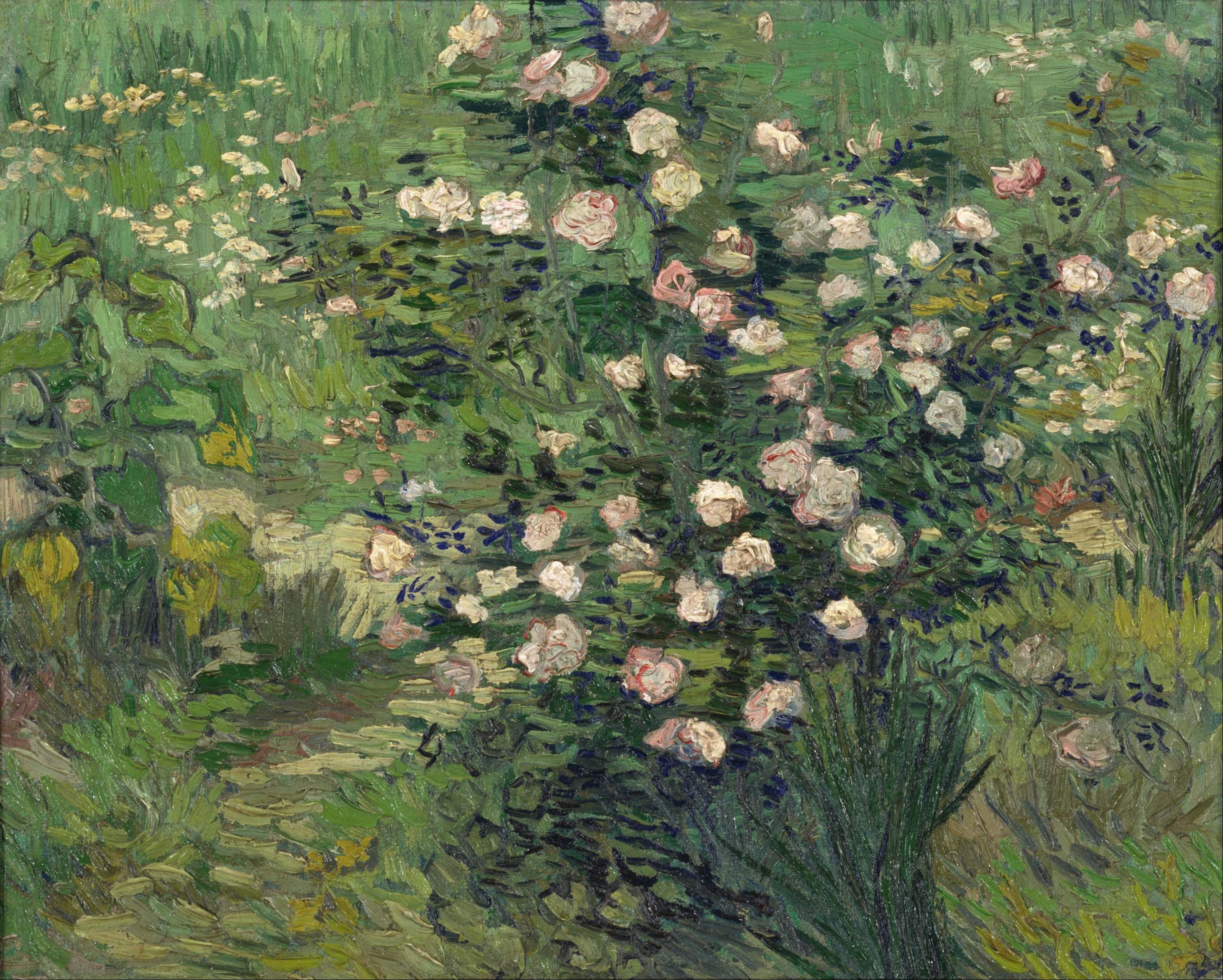 Roses, 1889, by Vincent van Gogh