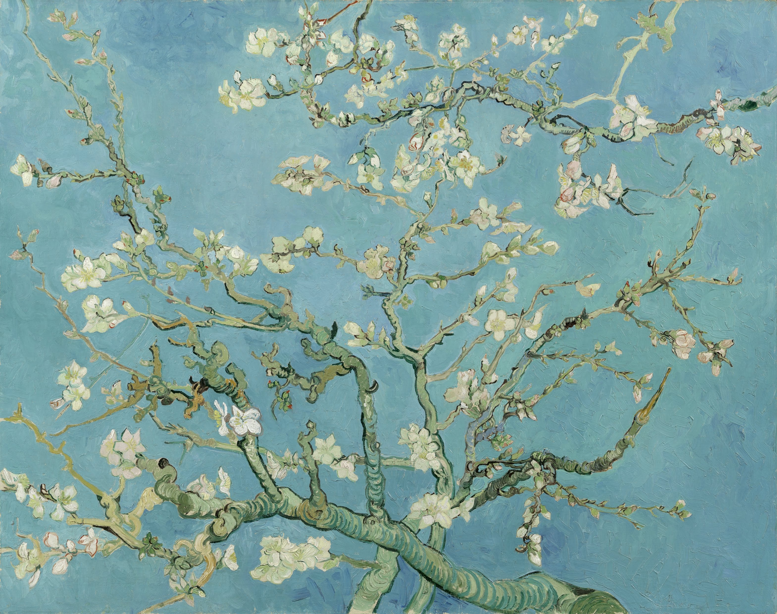 Almond Blossom, 1890, by Vincent van Gogh