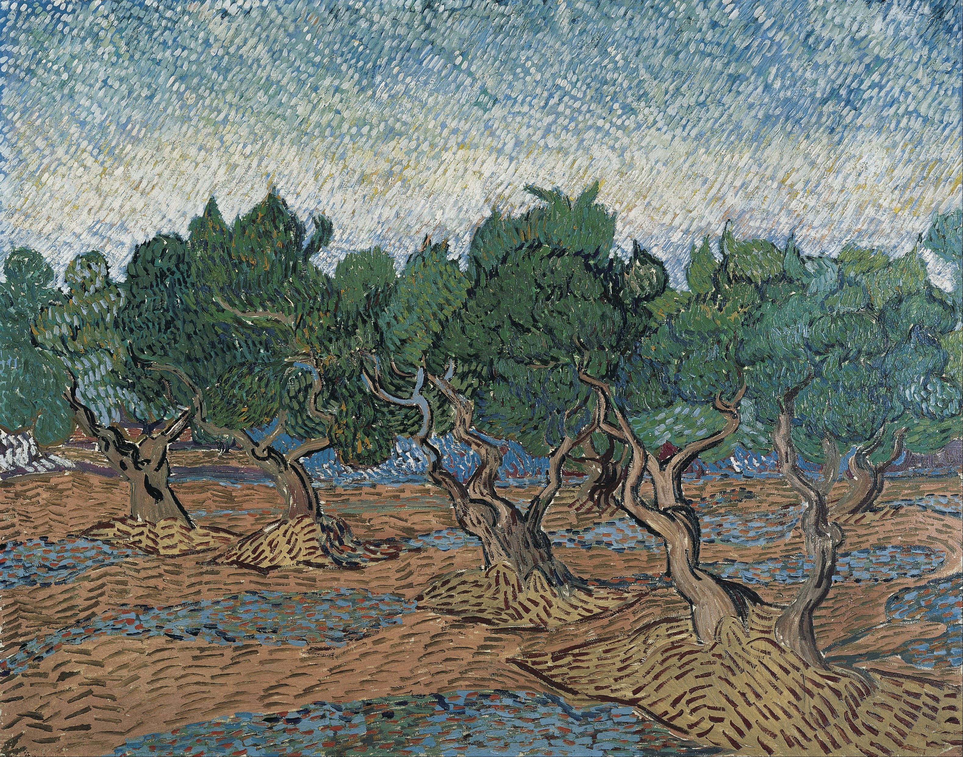 Olive Grove, 1889, by Vincent van Gogh